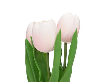 Foto 3 | Foto 3 | Tulipán Artificial con Maceta Rose 30 cm