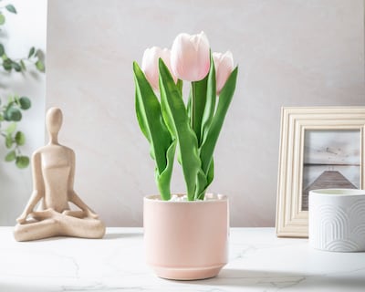 Foto 4 | Foto 4 | Tulipán Artificial con Maceta Rose 30 cm