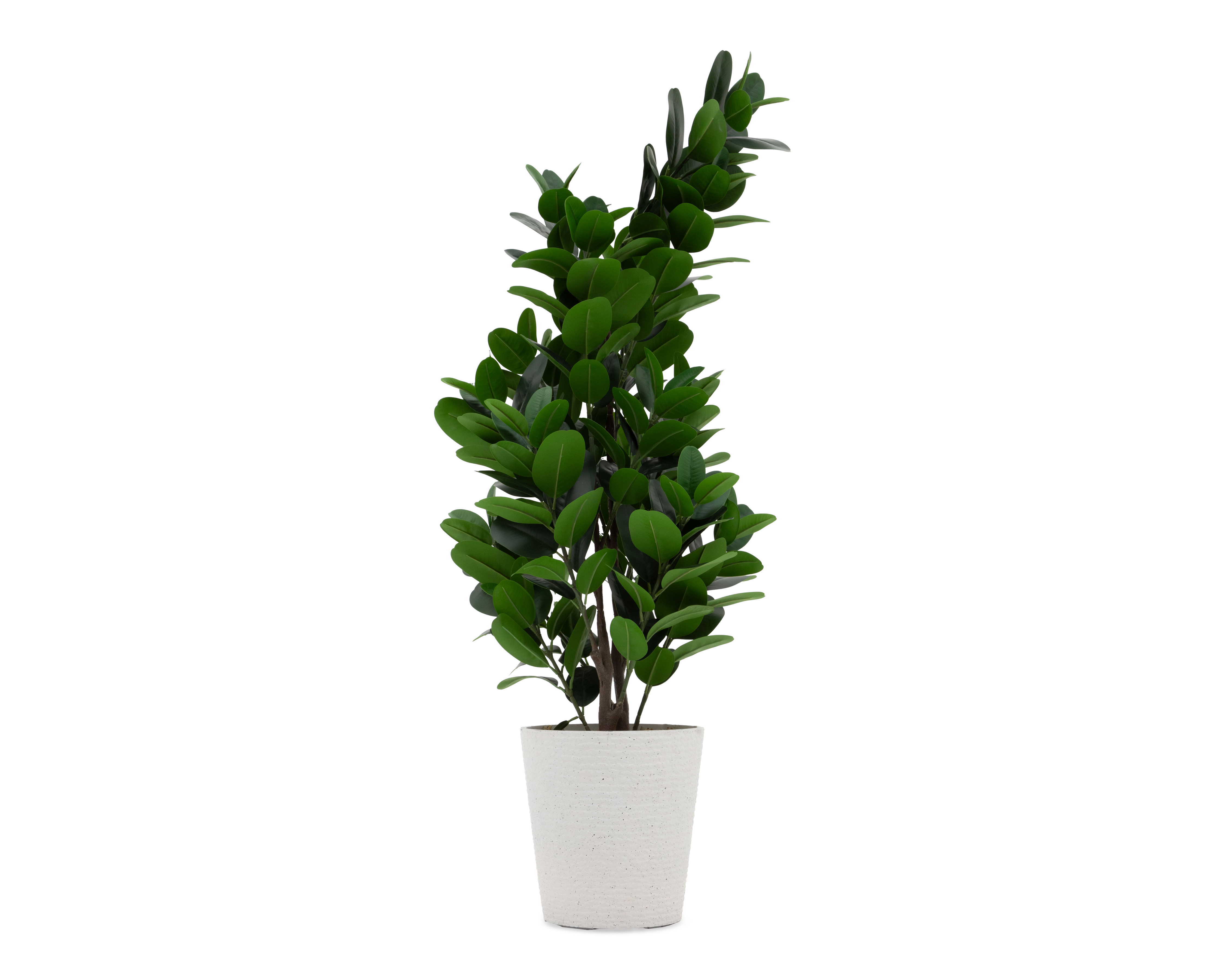 Foto 4 pulgar | Foto 3 | Ficus Artificial con Maceta Starhaus 128 cm