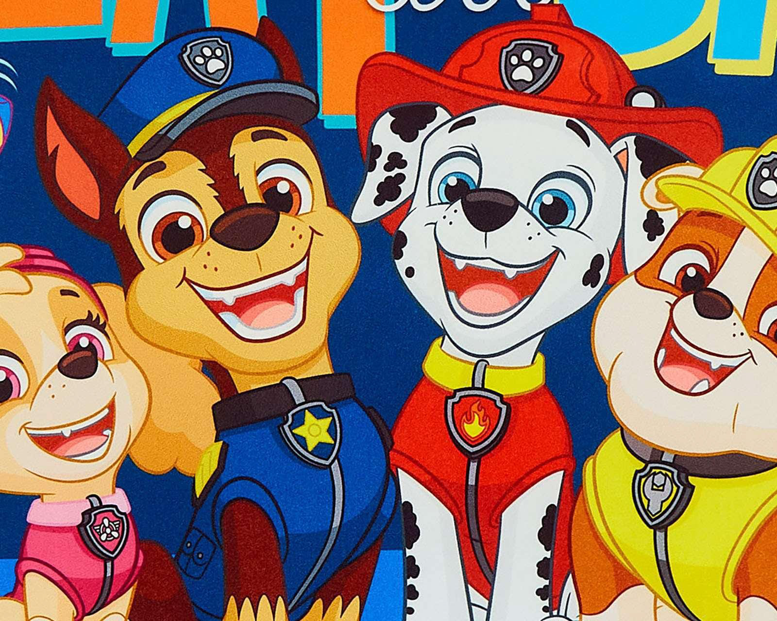 Foto 6 pulgar | Foto 5 | Almohada Providencia Paw Patrol Play Day