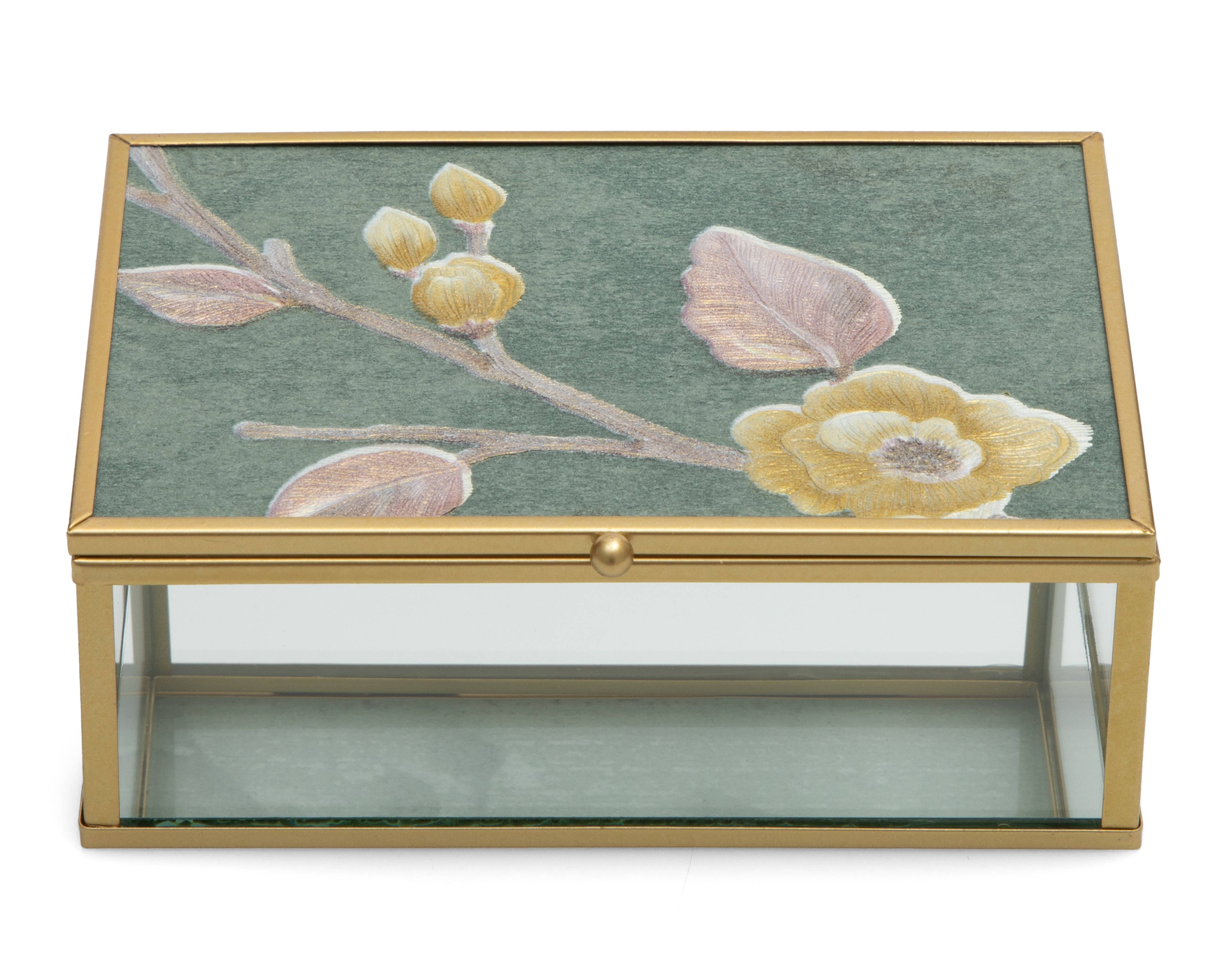 Foto 2 pulgar | Foto 1 | Joyero Starhaus Transparente