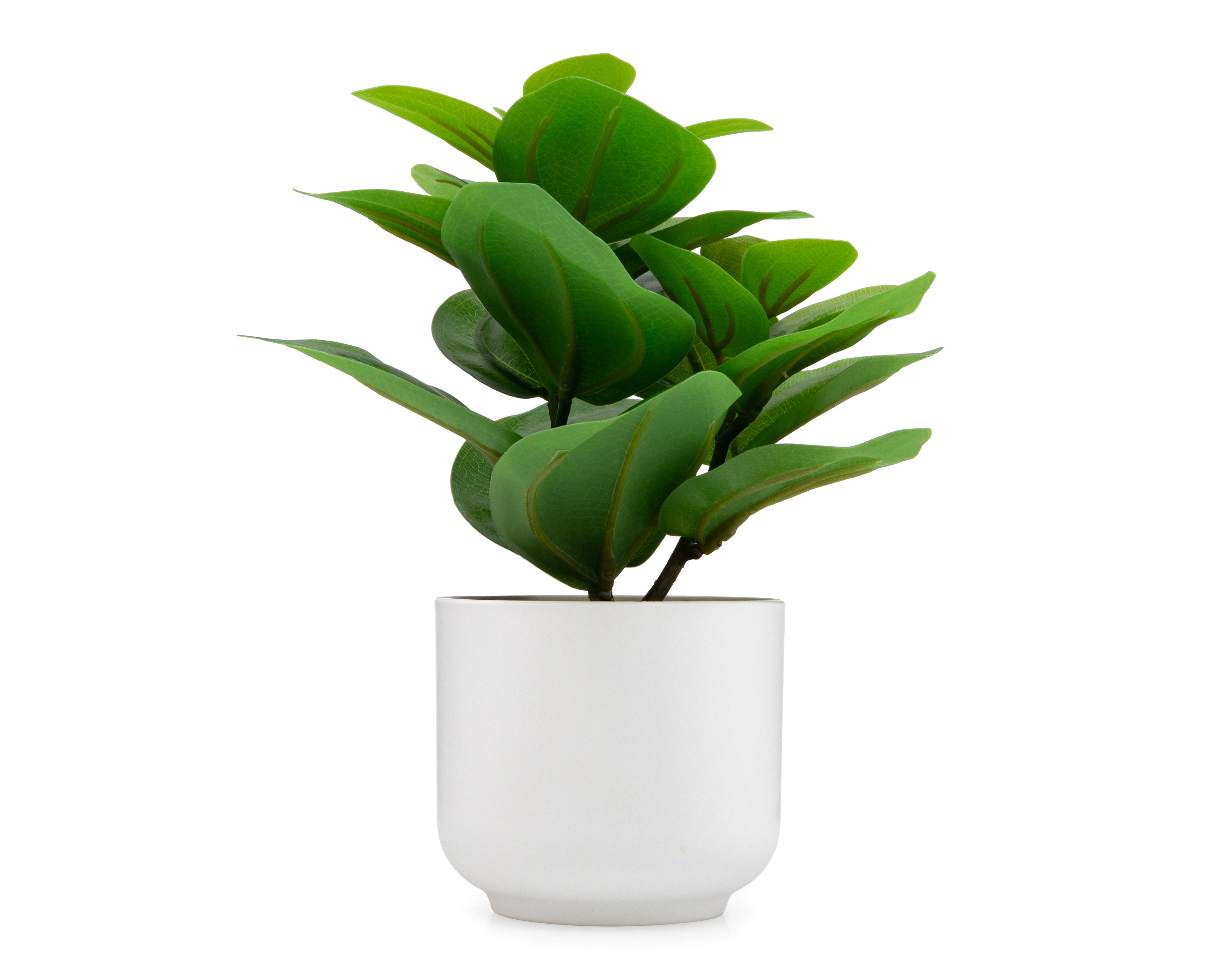 Foto 2 pulgar | Foto 1 | Bonsai Artificial con Maceta Starhaus 23 cm