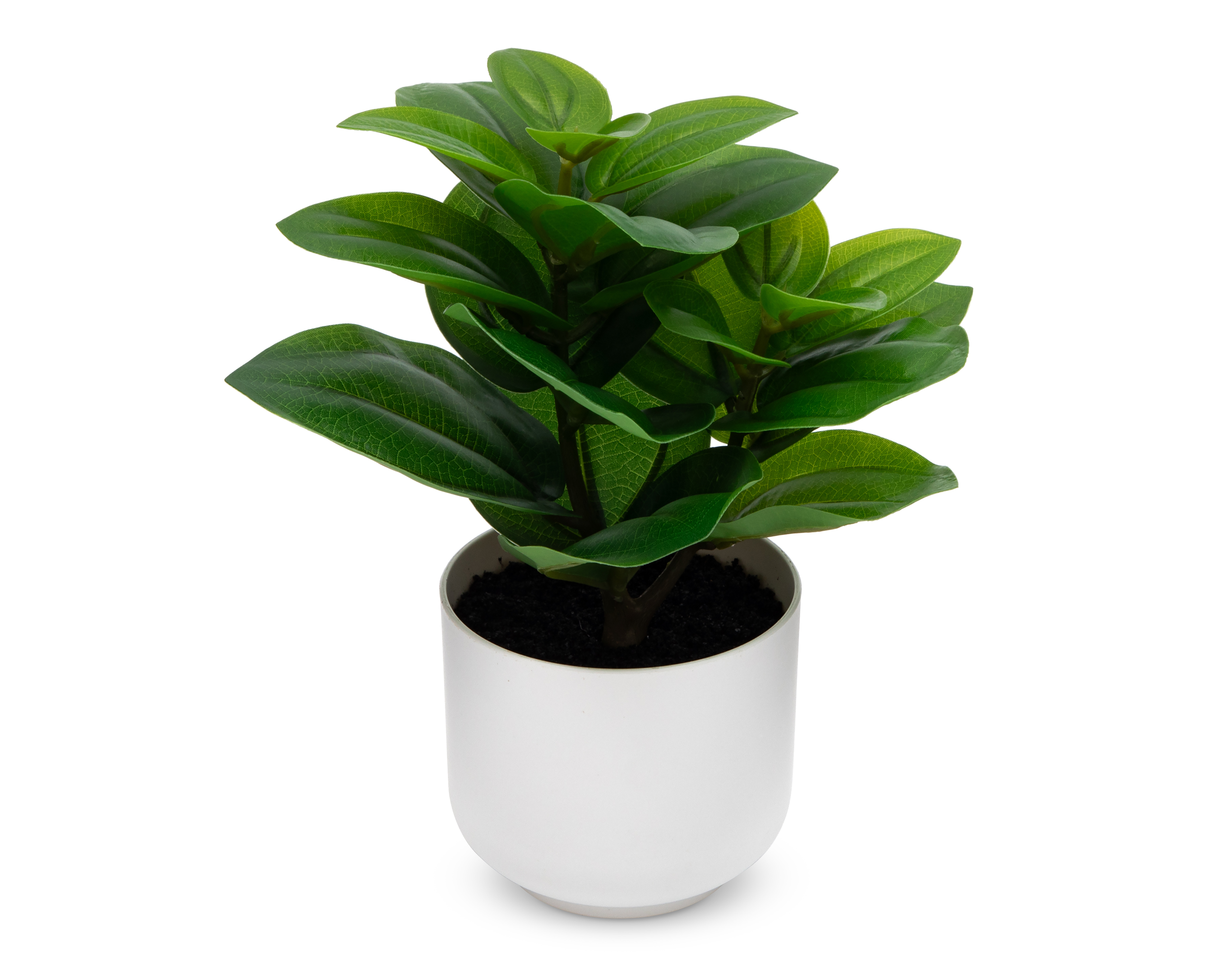 Foto 2 | Foto 2 | Bonsai Artificial con Maceta Starhaus 23 cm