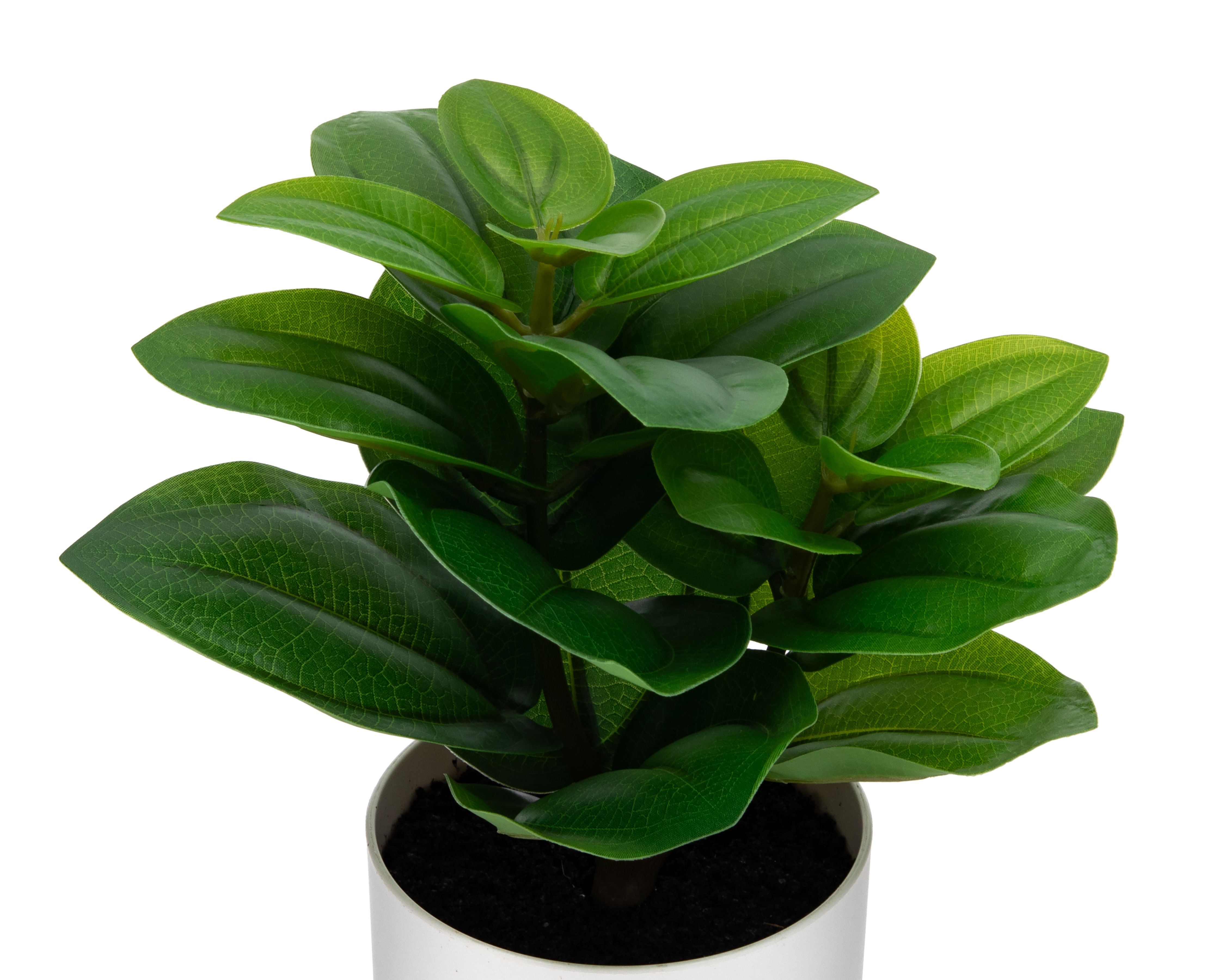 Foto 3 | Foto 3 | Bonsai Artificial con Maceta Starhaus 23 cm