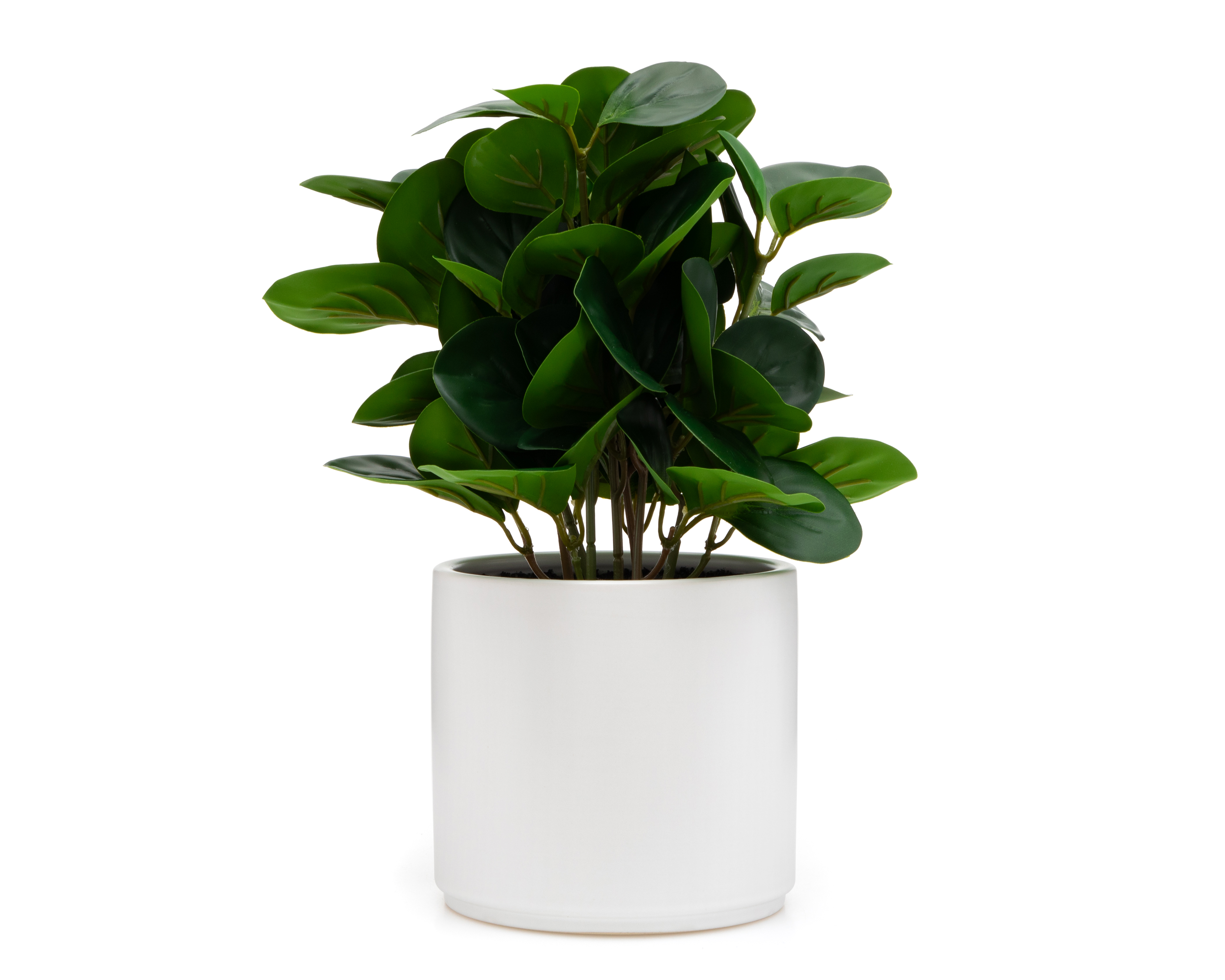 Foto 1 | Foto 1 | Peperomia Artificial con Maceta Starhaus 34 cm