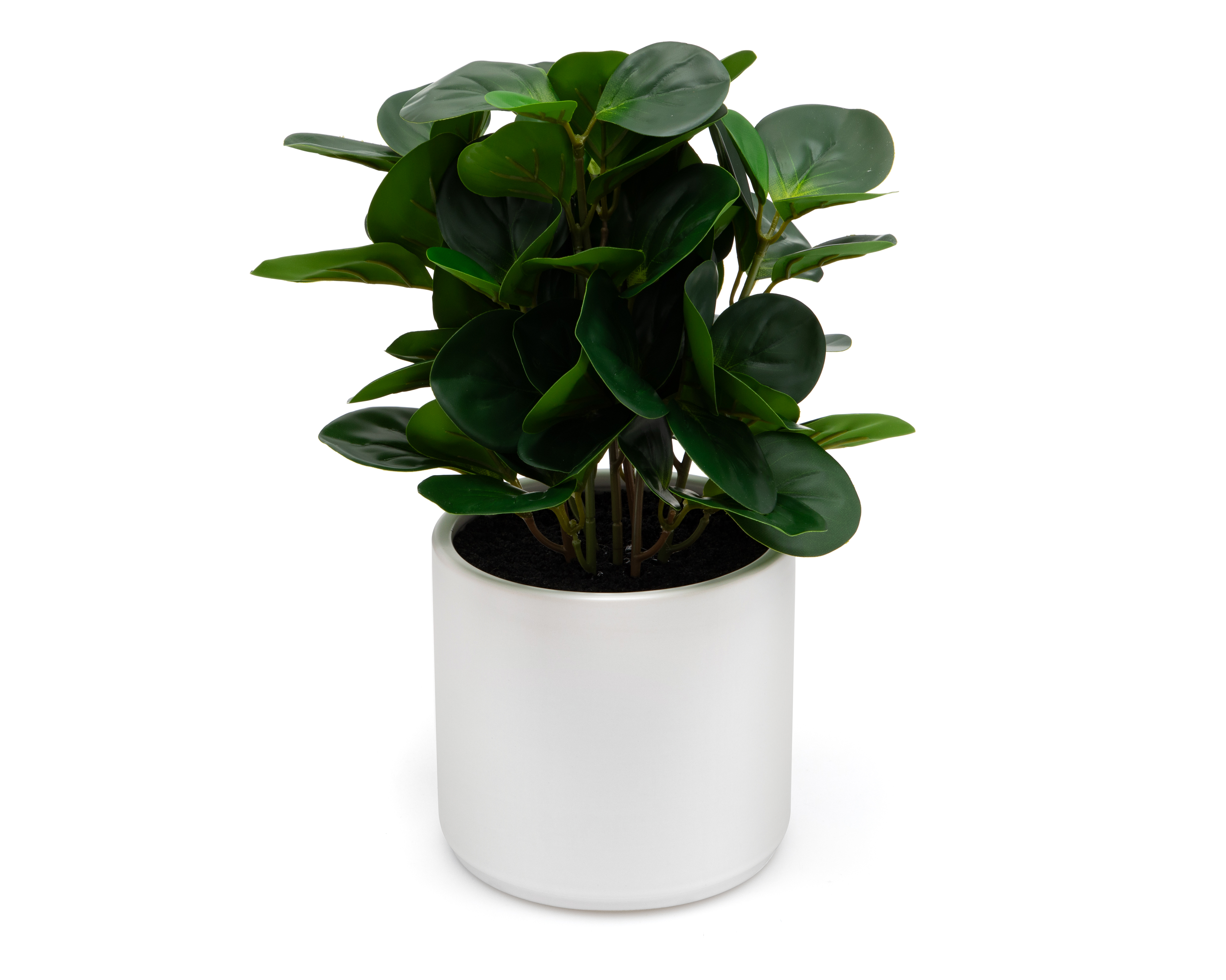 Foto 2 | Foto 2 | Peperomia Artificial con Maceta Starhaus 34 cm