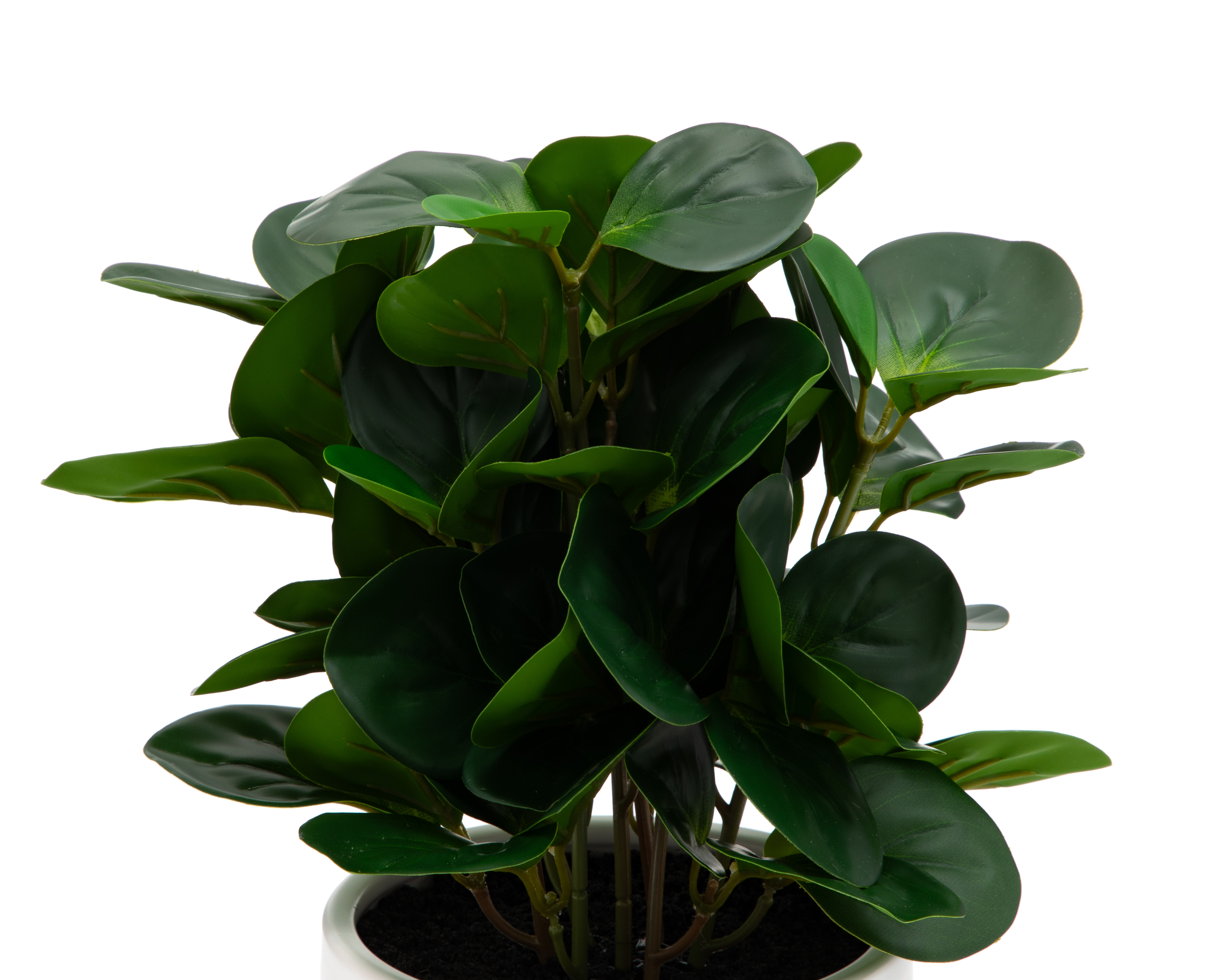 Foto 4 pulgar | Foto 3 | Peperomia Artificial con Maceta Starhaus 34 cm