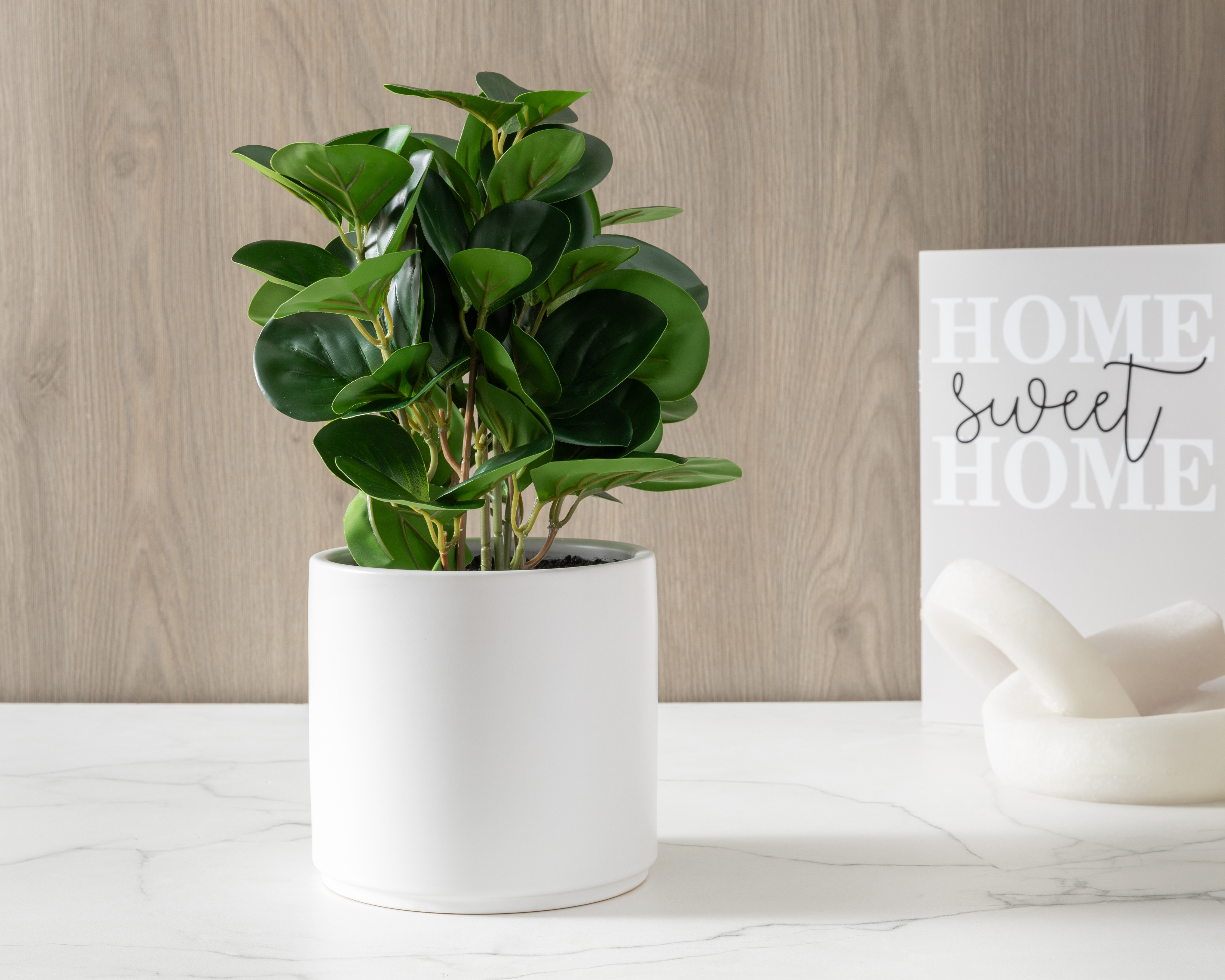 Foto 5 pulgar | Foto 4 | Peperomia Artificial con Maceta Starhaus 34 cm