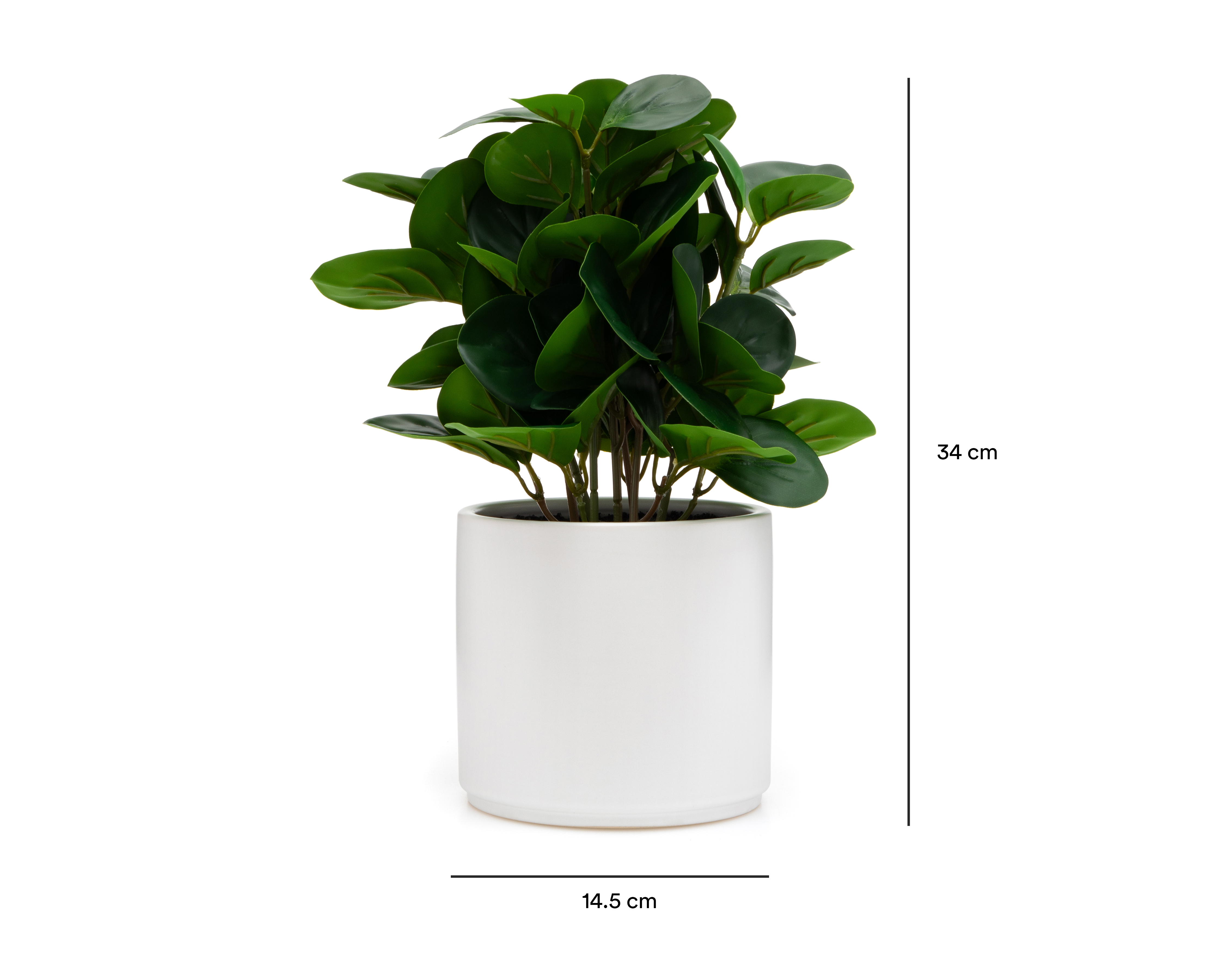 Foto 5 | Foto 5 | Peperomia Artificial con Maceta Starhaus 34 cm