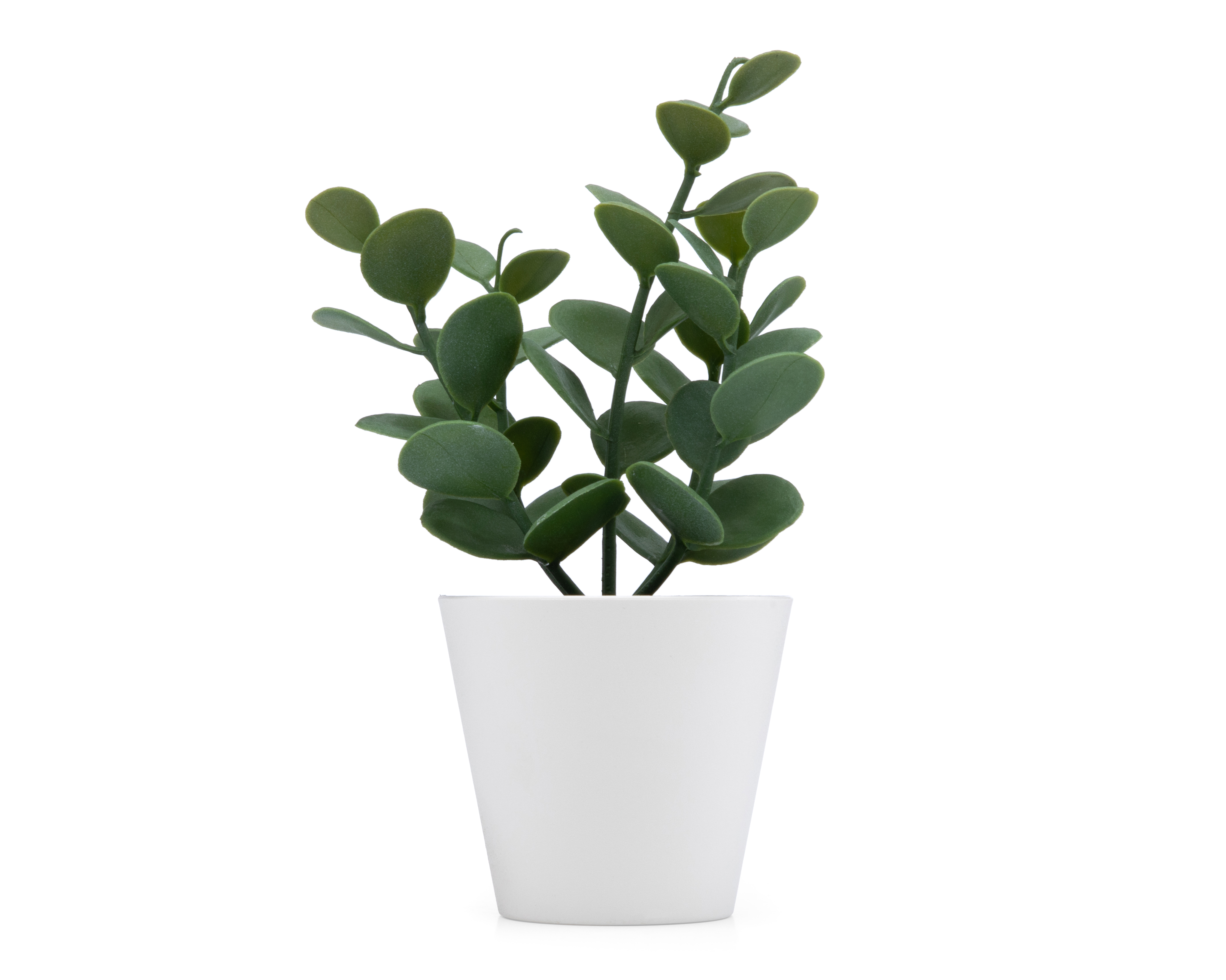 Suculenta Artificial con Maceta Starhaus 19 cm