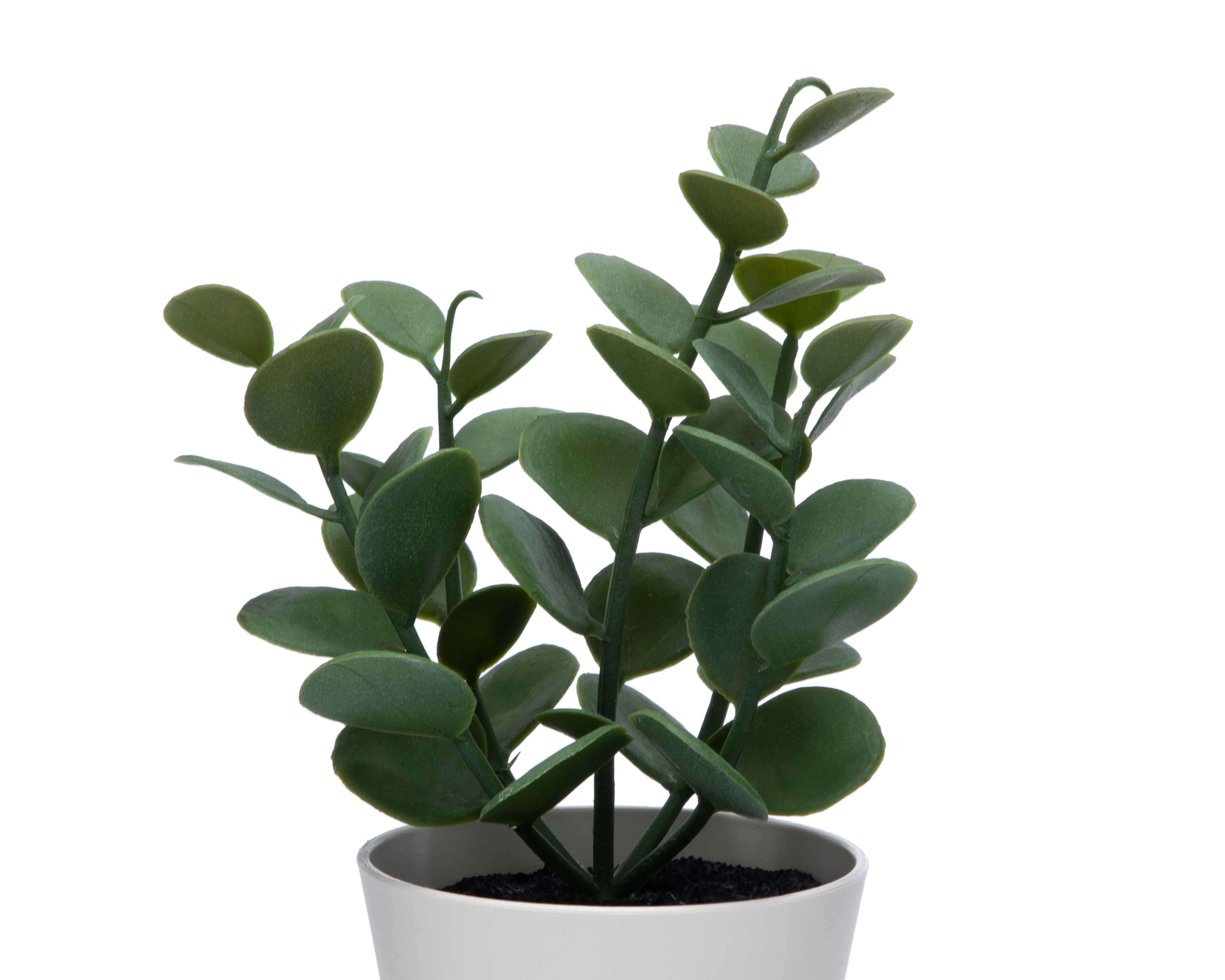 Foto 3 | Foto 3 | Suculenta Artificial con Maceta Starhaus 19 cm