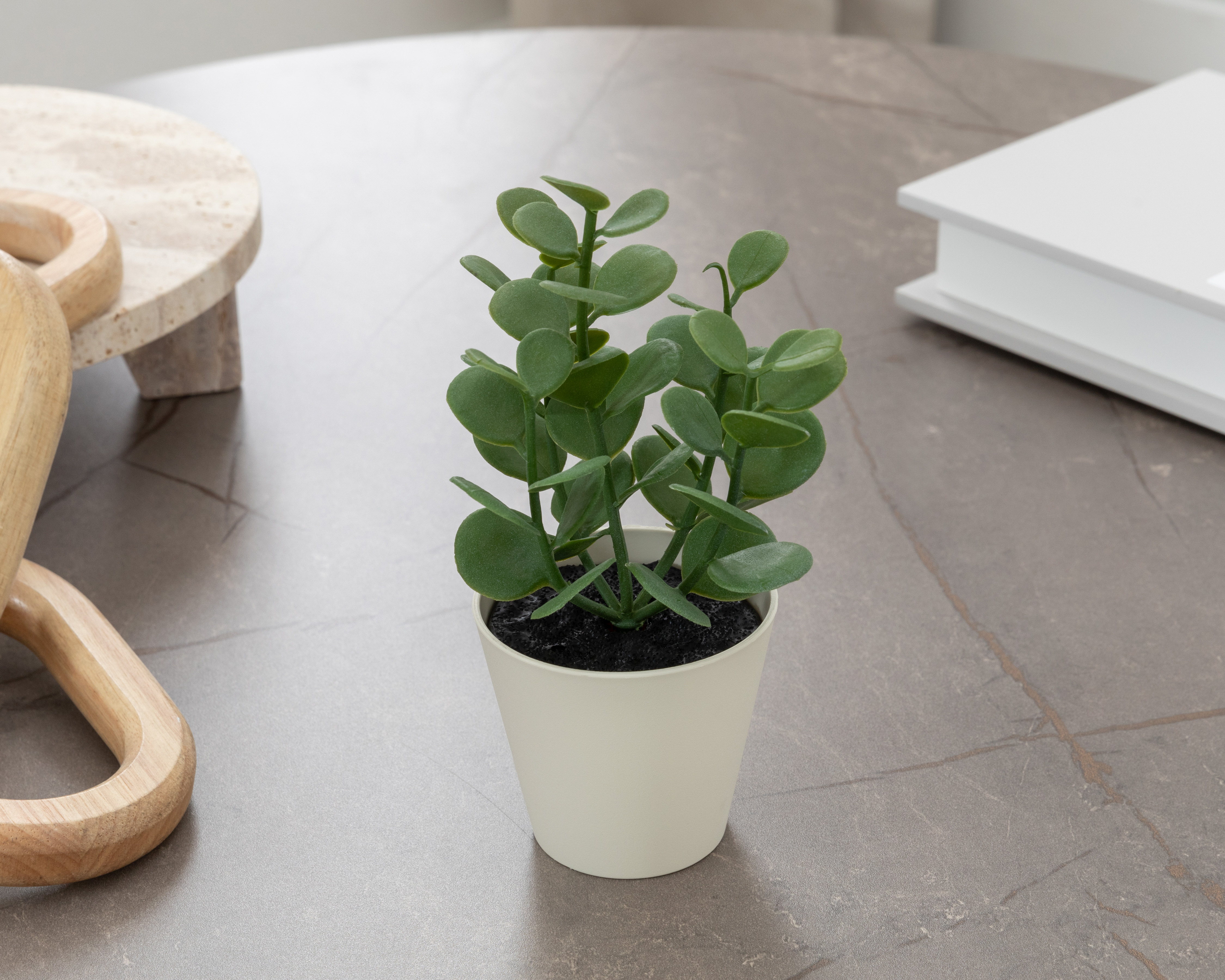 Foto 5 pulgar | Foto 4 | Suculenta Artificial con Maceta Starhaus 19 cm