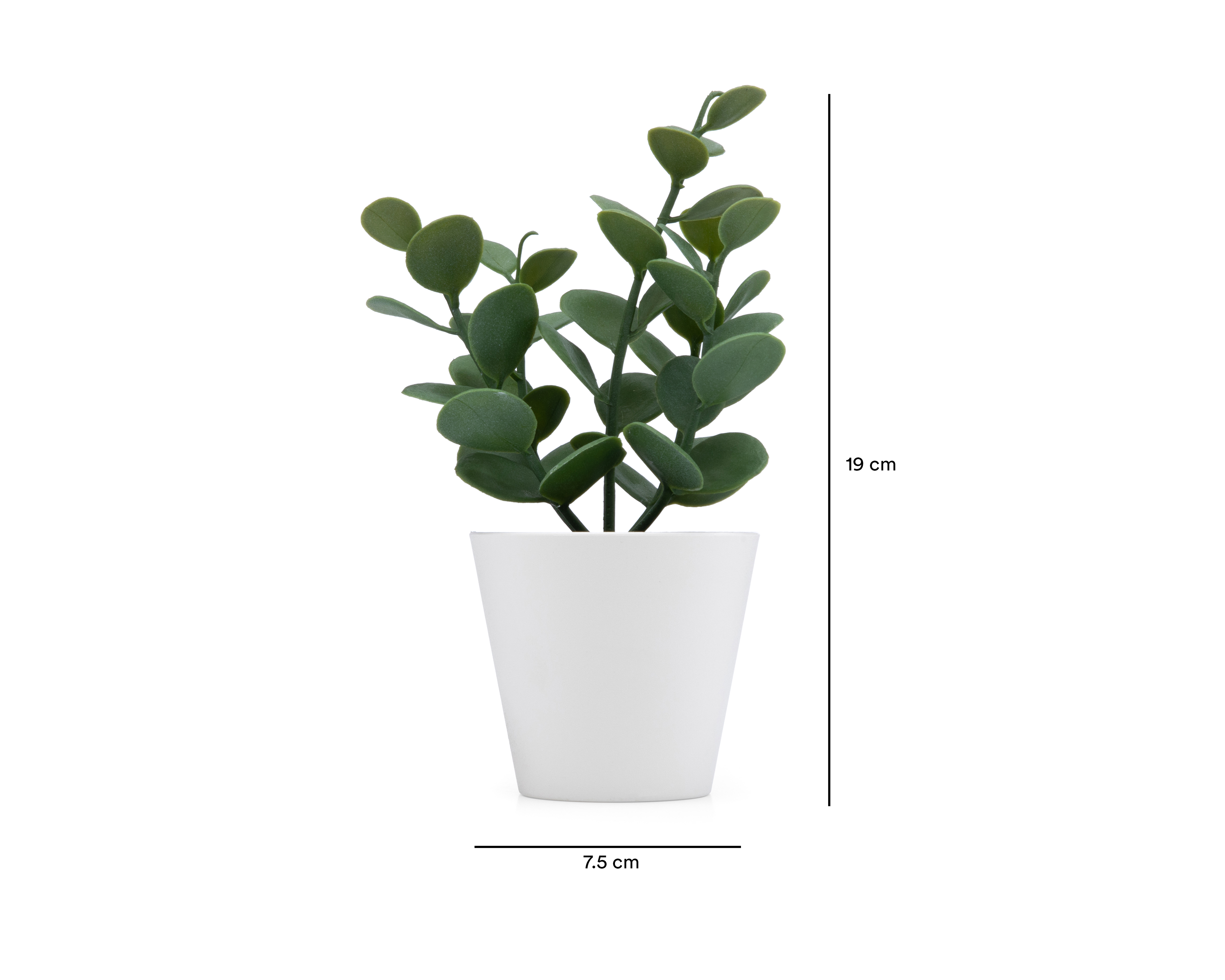 Foto 5 | Foto 5 | Suculenta Artificial con Maceta Starhaus 19 cm