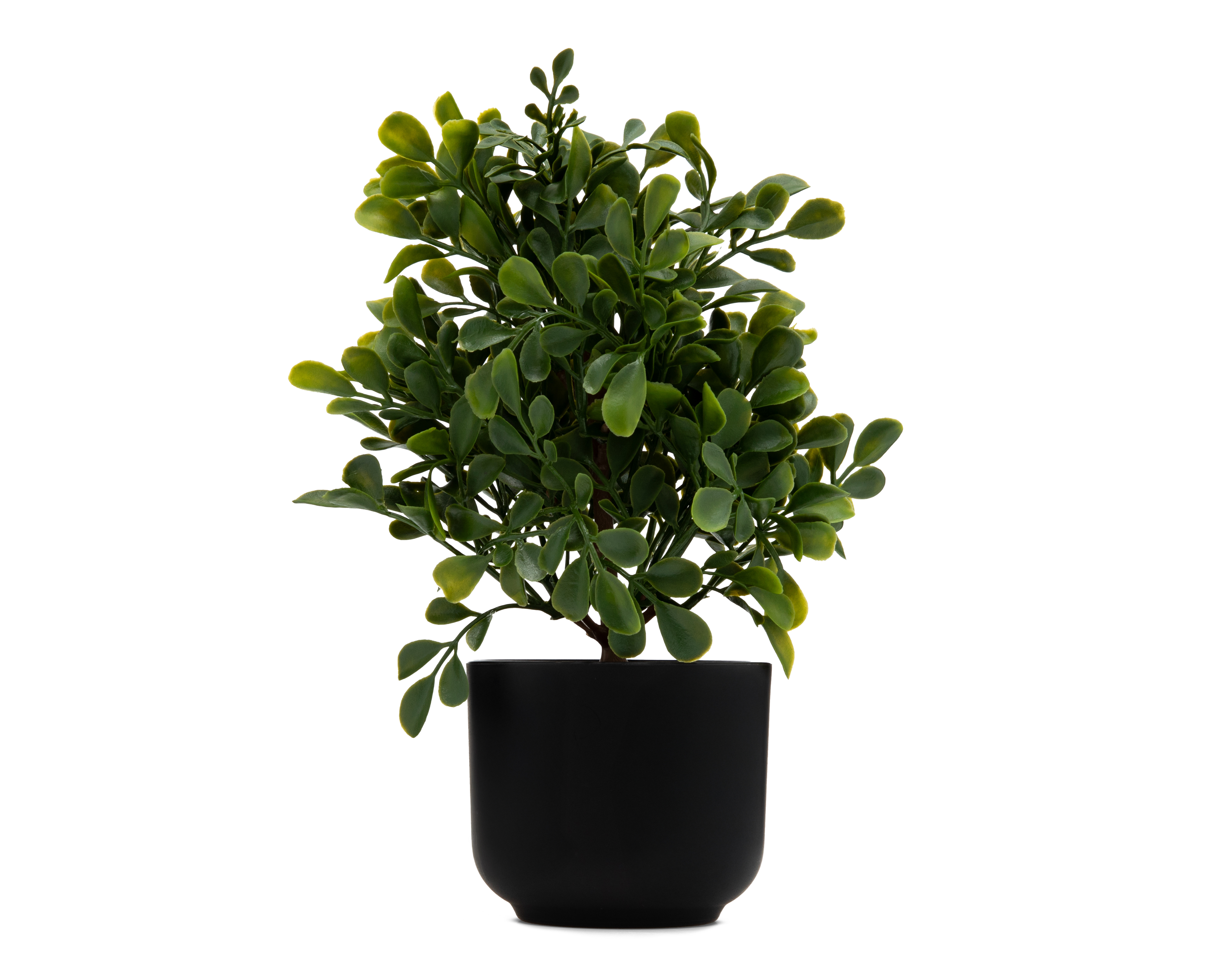 Arbursto Artificial con Maceta Starhaus 21 cm