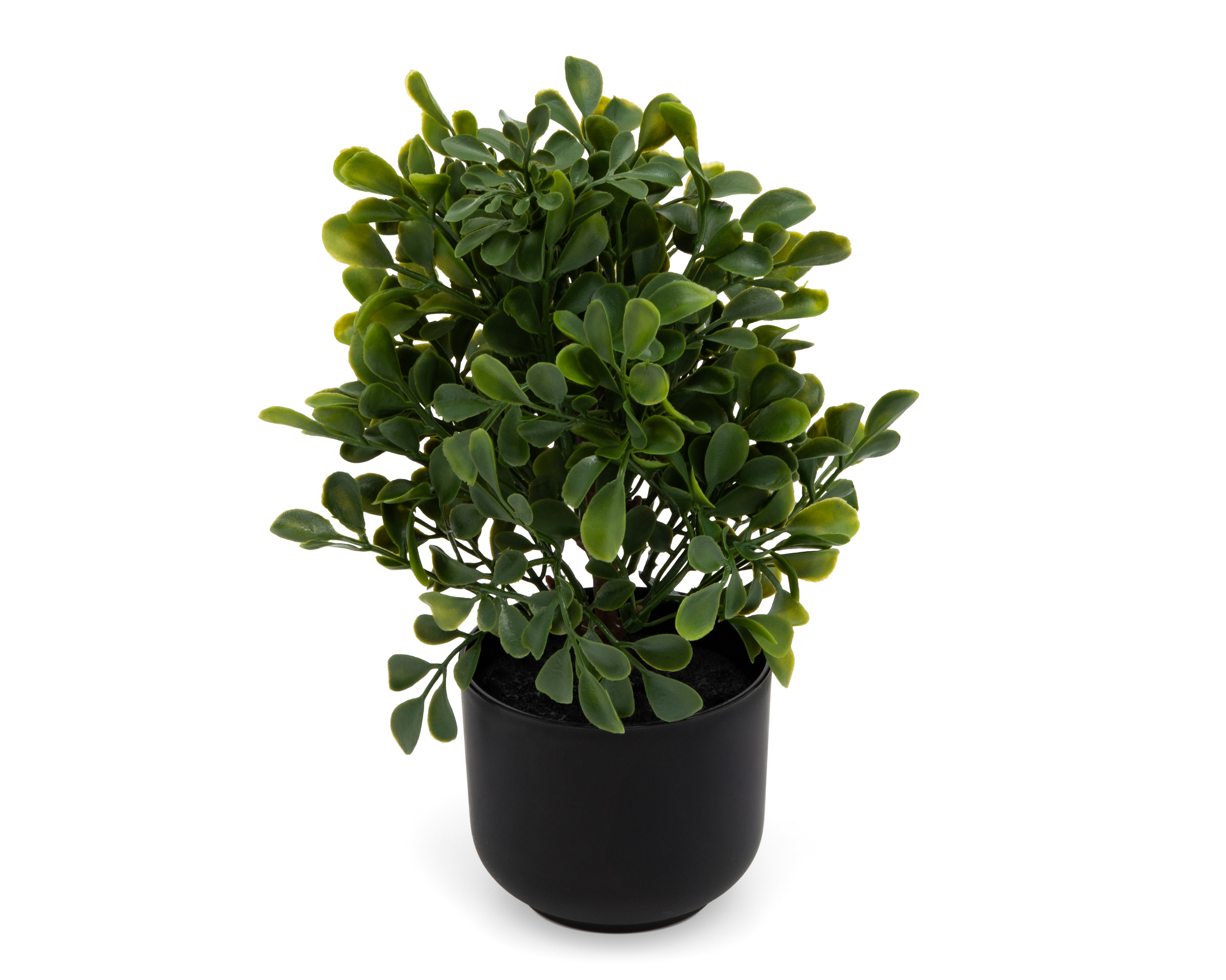 Foto 2 | Foto 2 | Arbursto Artificial con Maceta Starhaus 21 cm