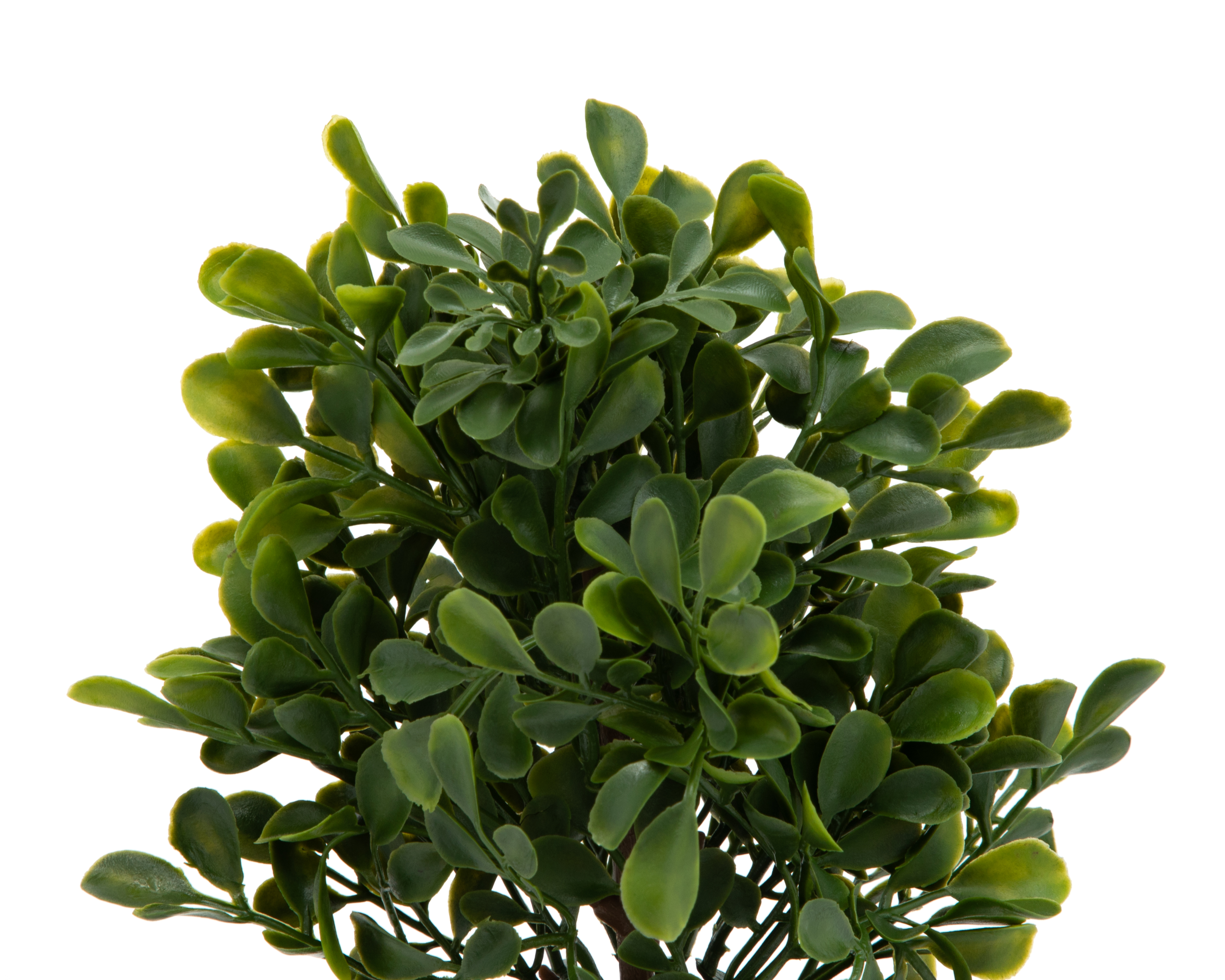 Foto 3 | Foto 3 | Arbursto Artificial con Maceta Starhaus 21 cm