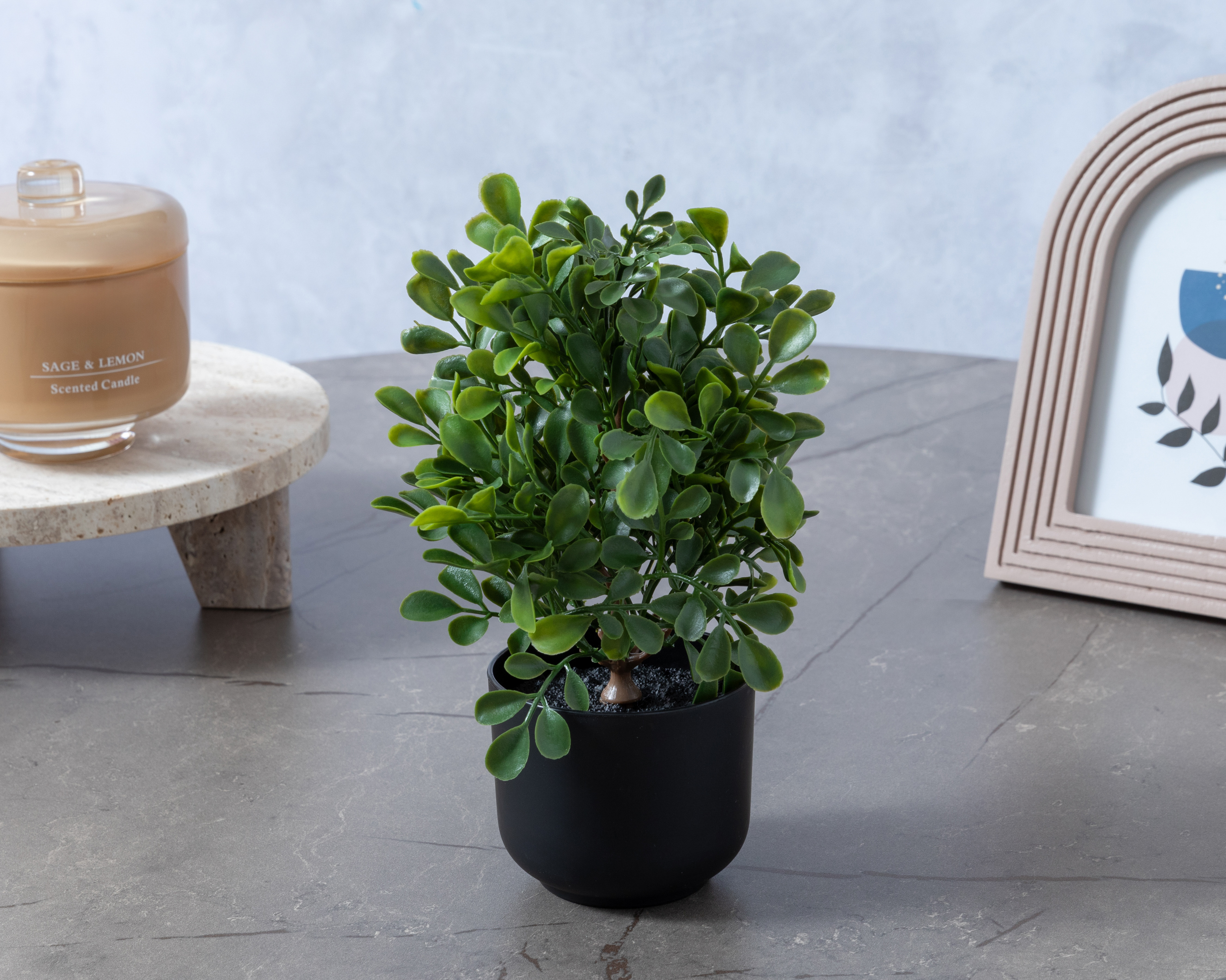 Foto 4 | Foto 4 | Arbursto Artificial con Maceta Starhaus 21 cm