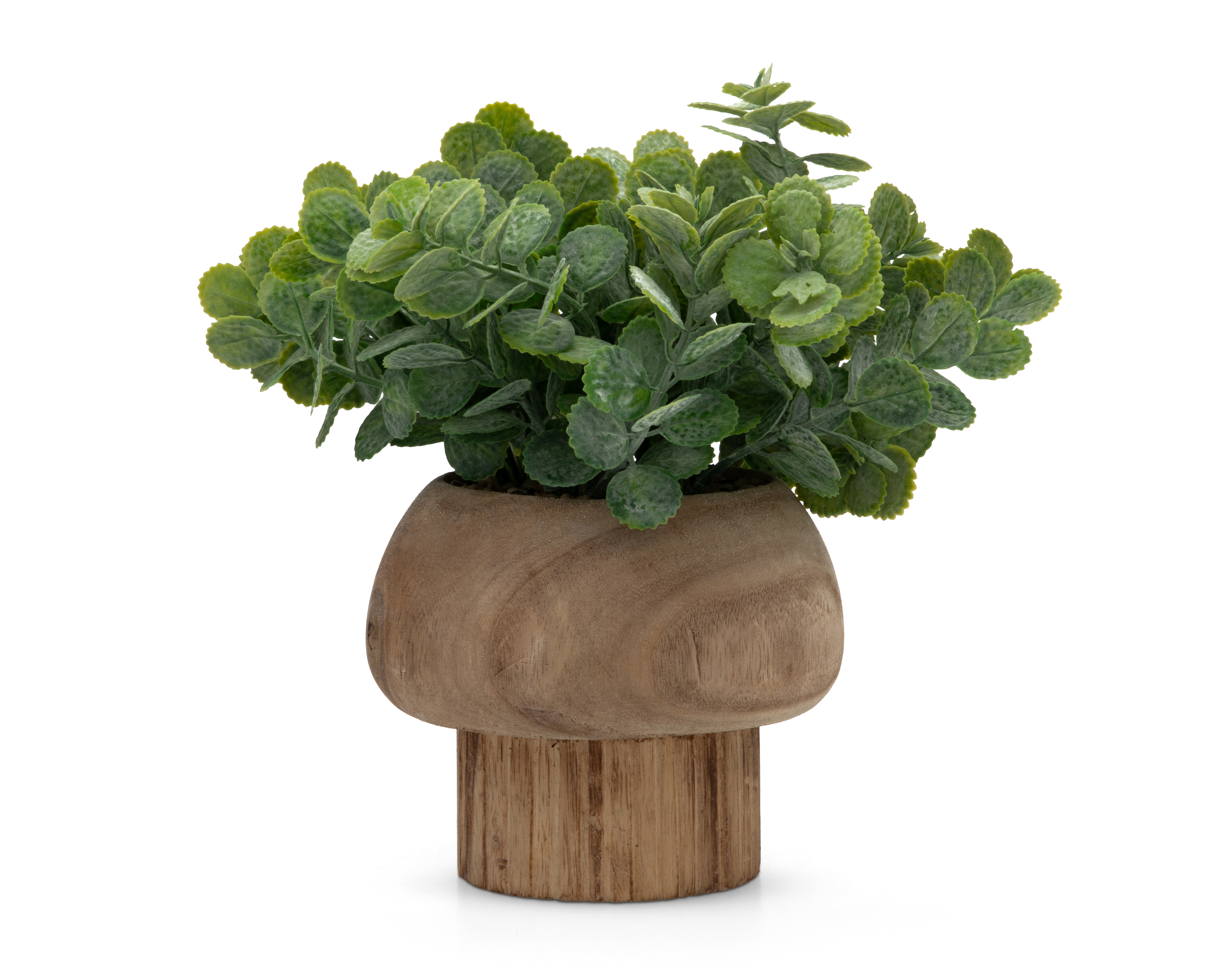 Foto 2 pulgar | Foto 1 | Eucalipto Artificial con Maceta Starhaus 22 cm