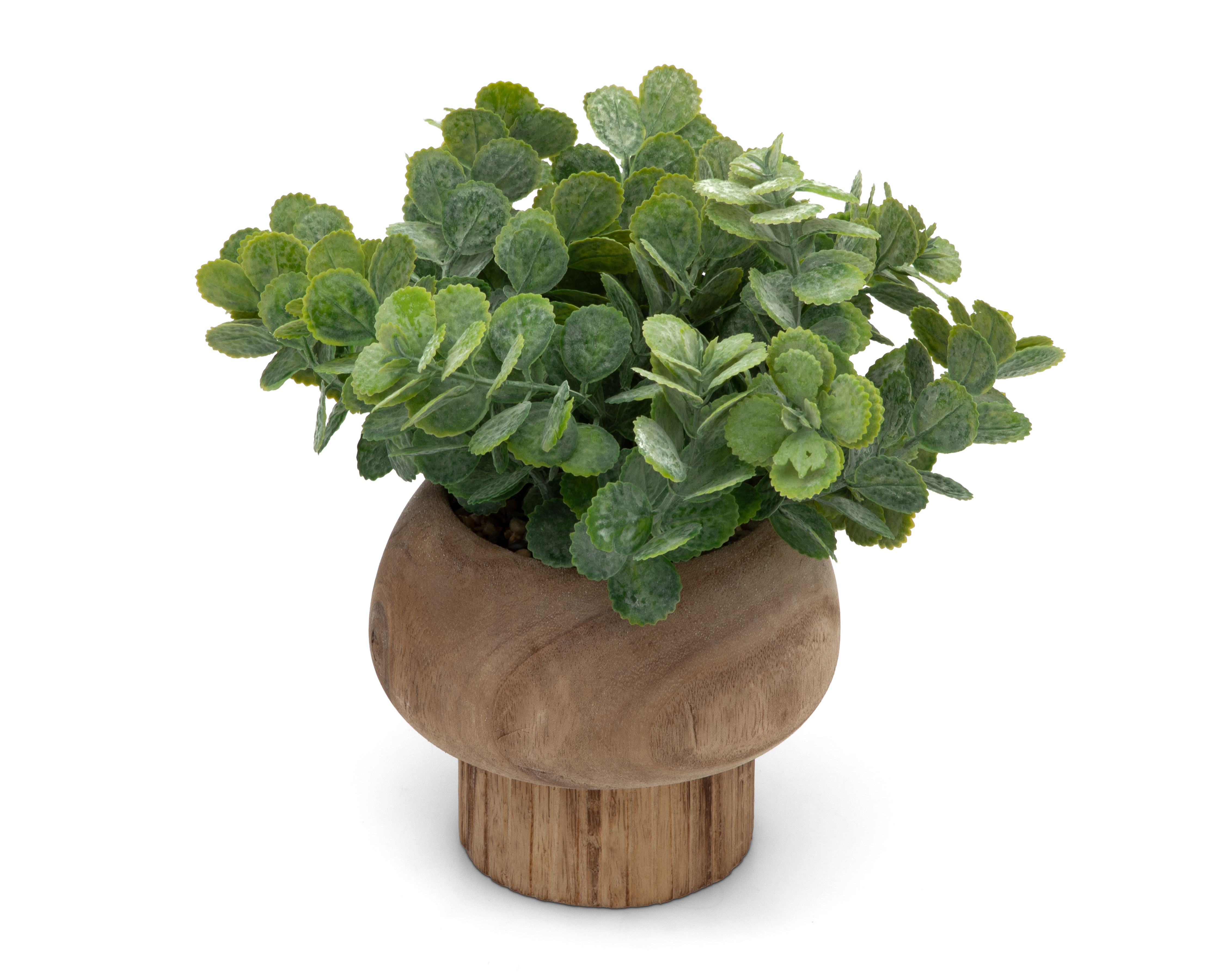 Foto 3 pulgar | Foto 2 | Eucalipto Artificial con Maceta Starhaus 22 cm