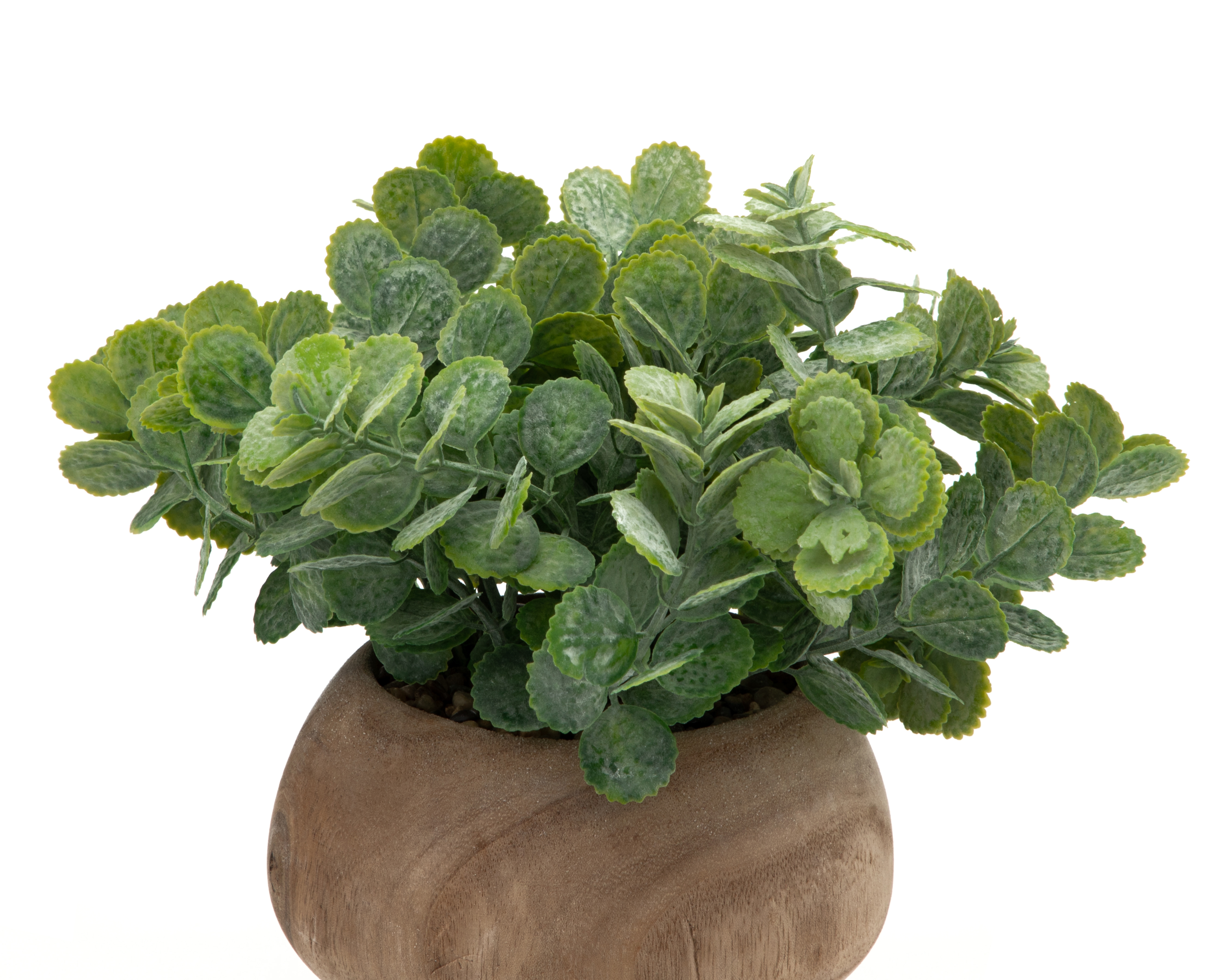 Foto 4 pulgar | Foto 3 | Eucalipto Artificial con Maceta Starhaus 22 cm