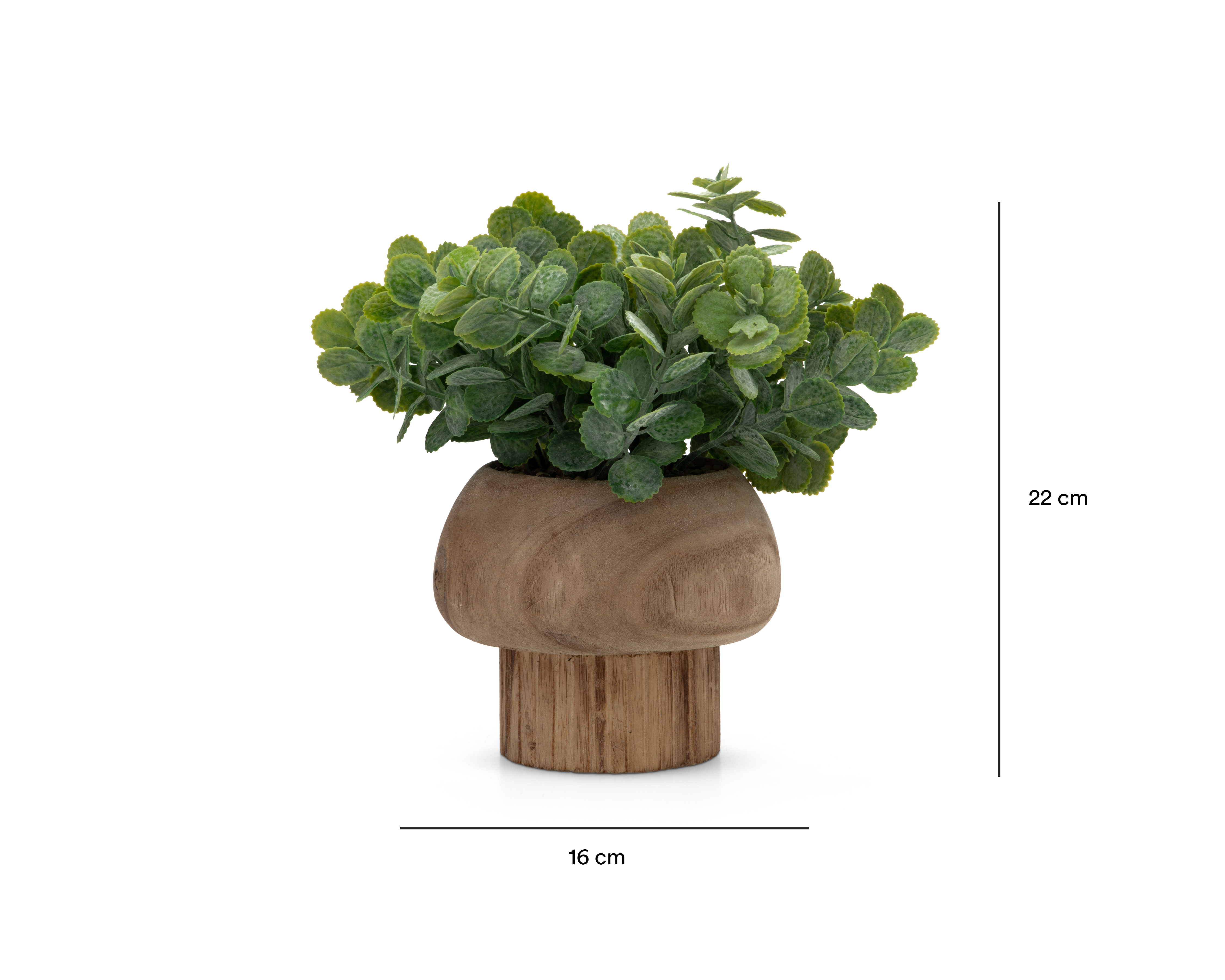 Foto 5 | Foto 5 | Eucalipto Artificial con Maceta Starhaus 22 cm