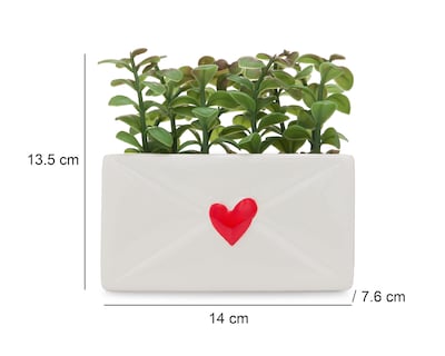 Foto 5 | Foto 5 | Árbol de la Abundancia Artificial con Maceta Starhaus 13.5 cm