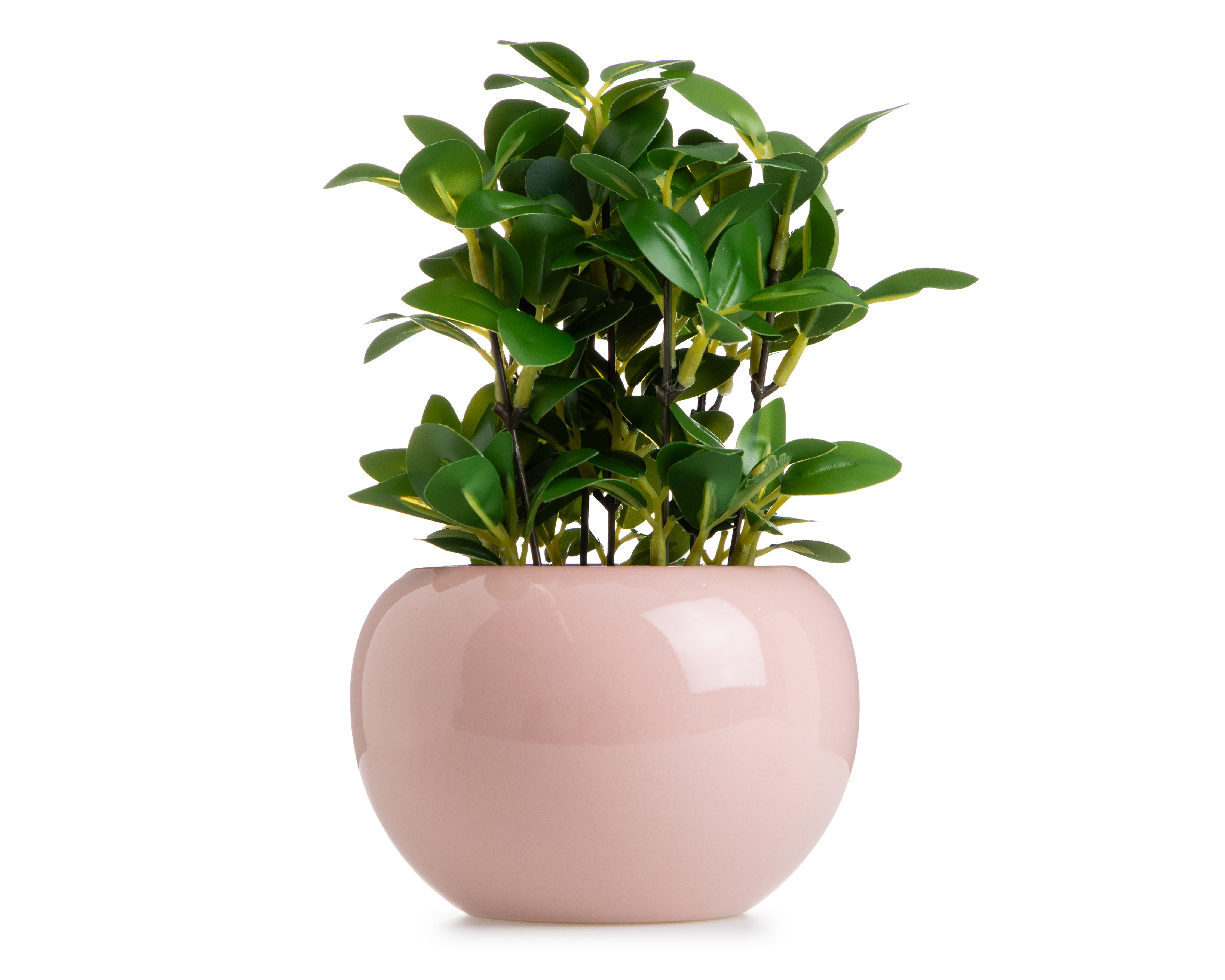 Foto 1 | Foto 1 | Ficus Artificial con Maceta Starhaus 22 cm