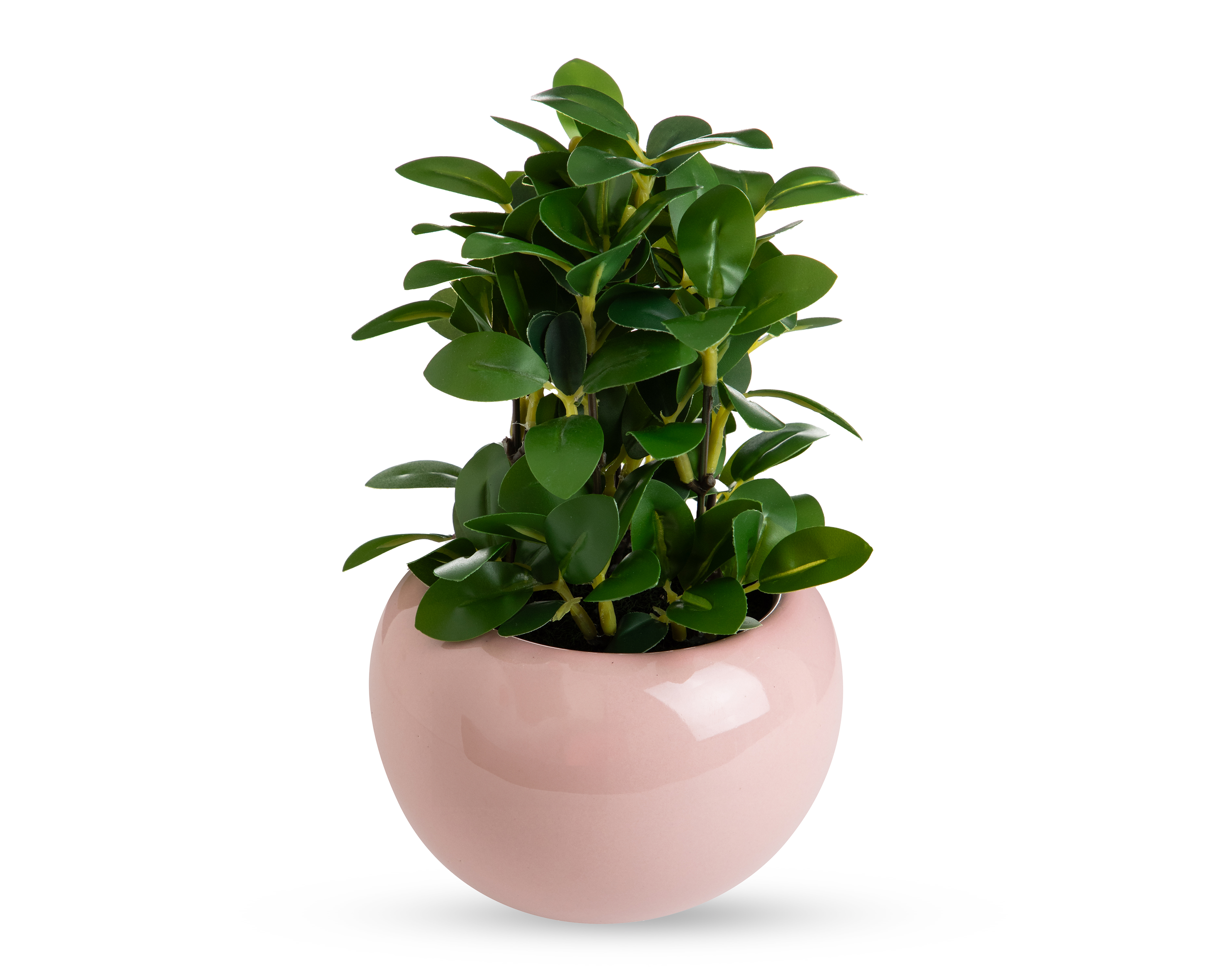 Foto 2 | Foto 2 | Ficus Artificial con Maceta Starhaus 22 cm