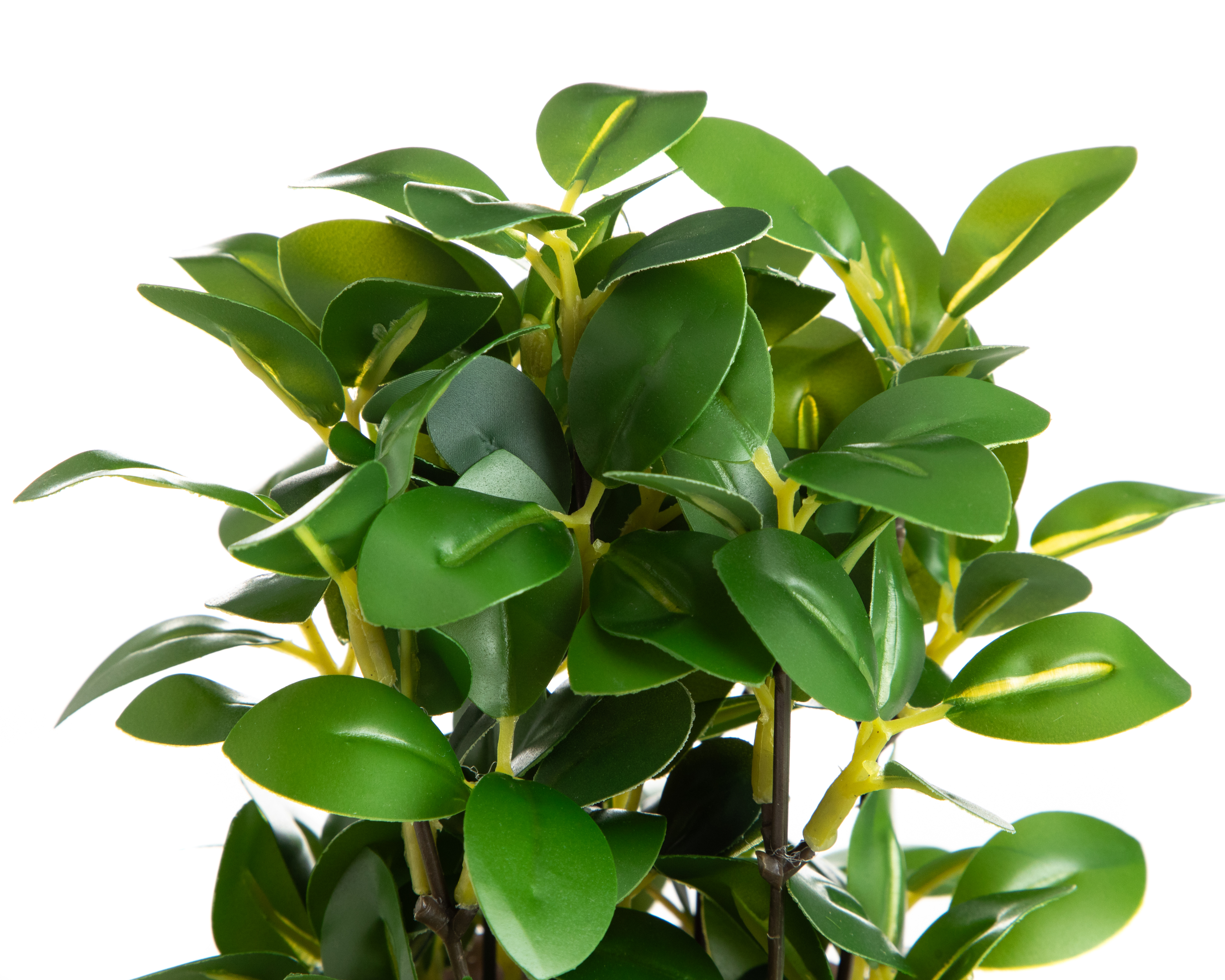 Foto 3 | Foto 3 | Ficus Artificial con Maceta Starhaus 22 cm