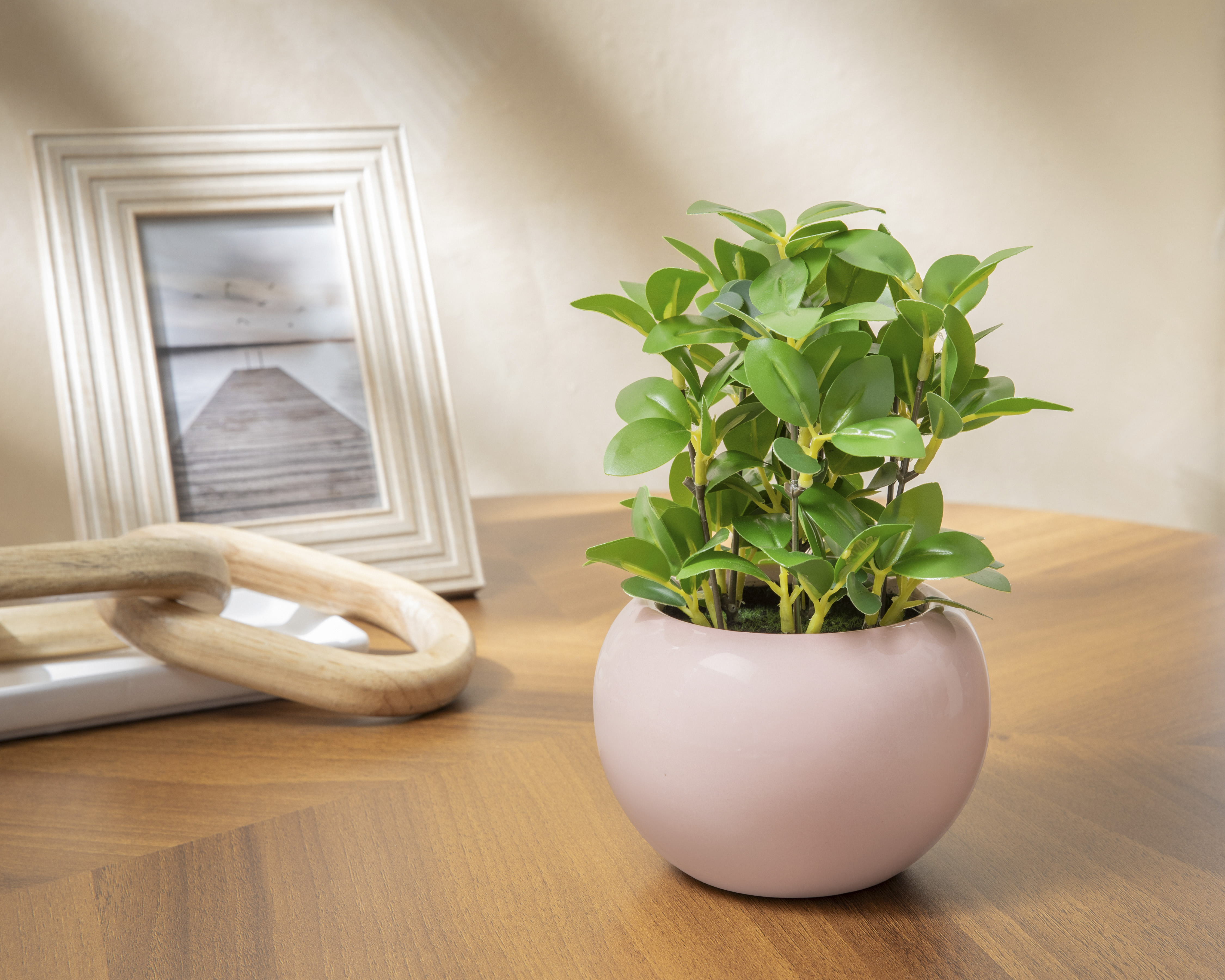 Foto 4 | Foto 4 | Ficus Artificial con Maceta Starhaus 22 cm