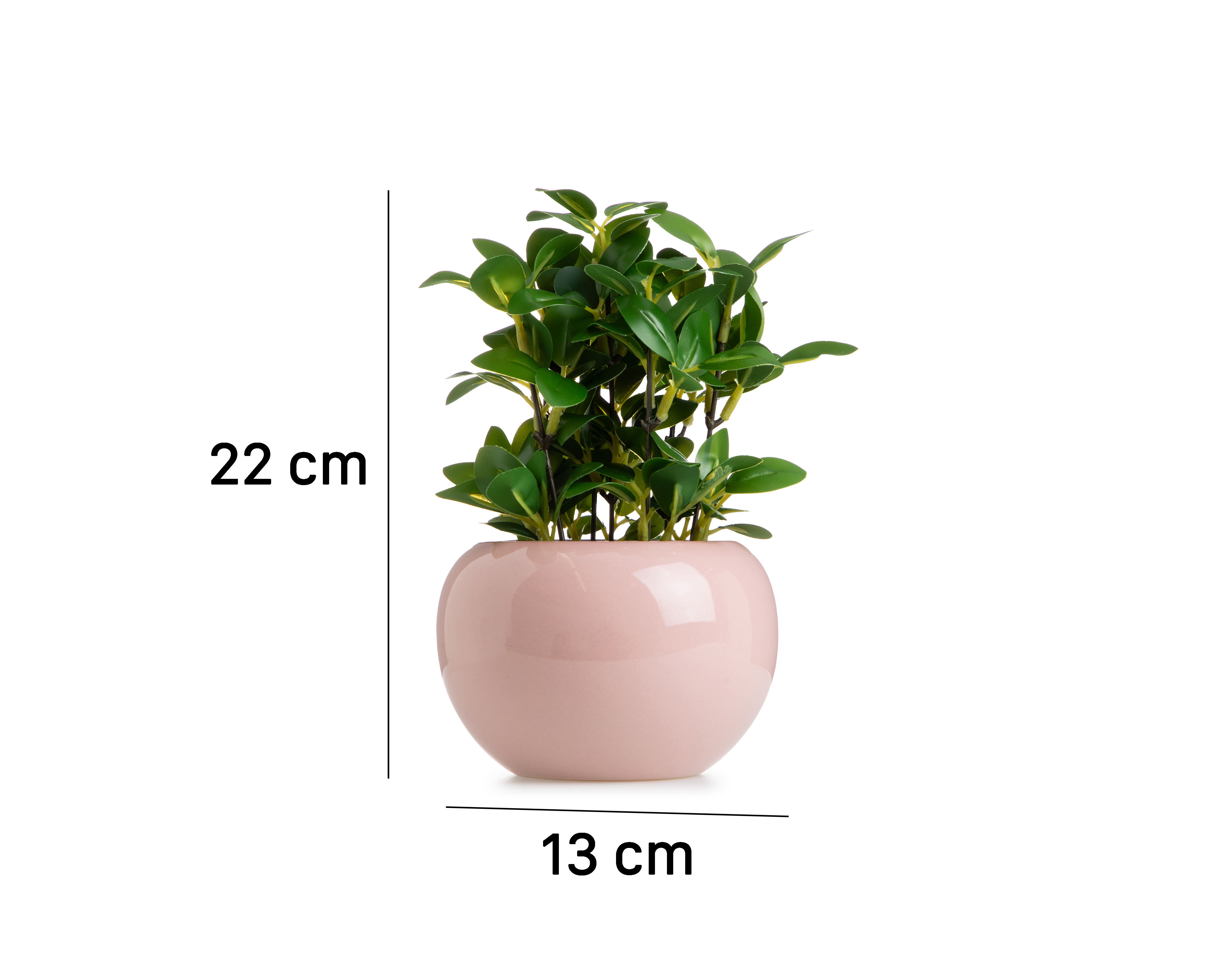 Foto 6 pulgar | Foto 5 | Ficus Artificial con Maceta Starhaus 22 cm