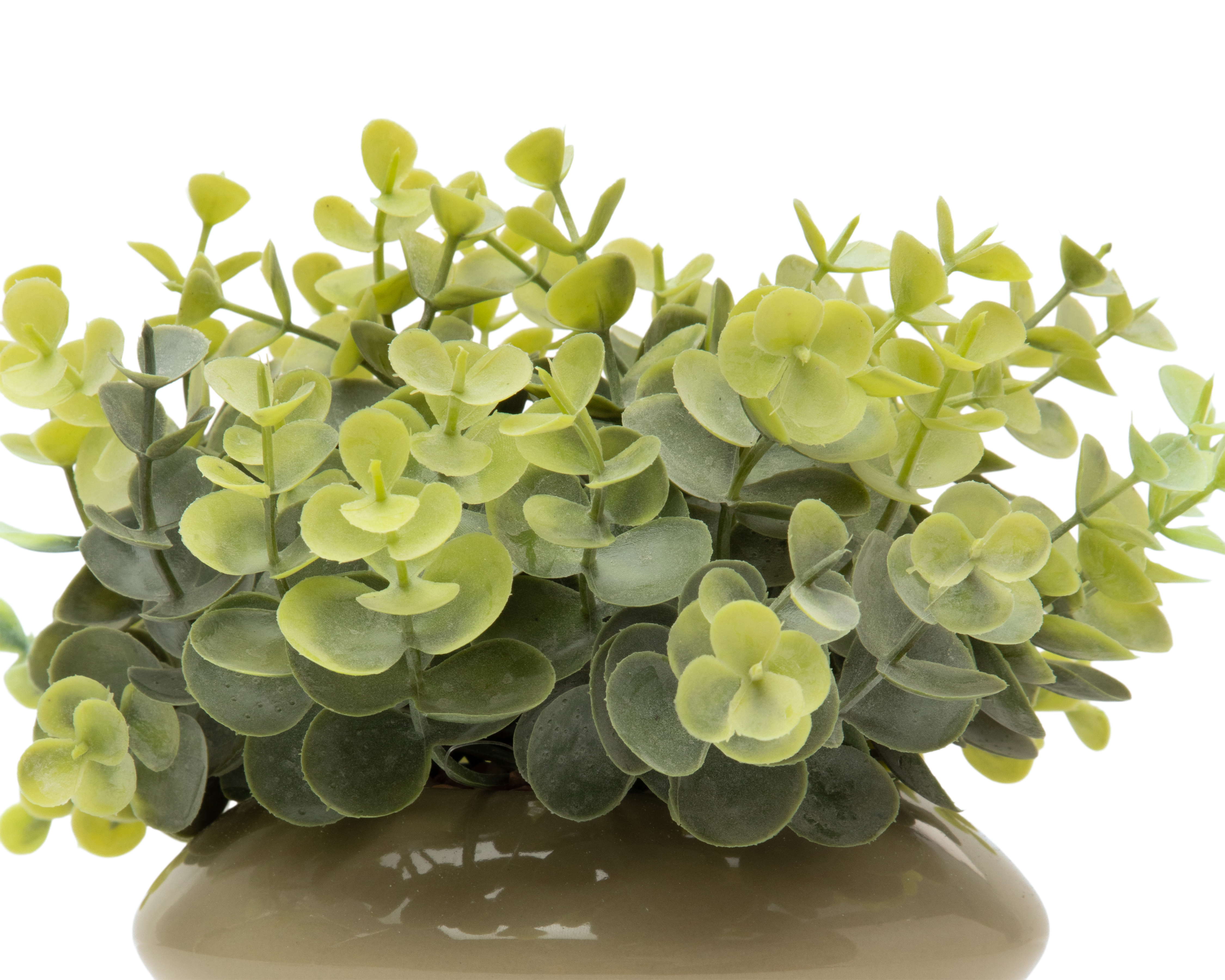 Foto 3 | Foto 3 | Eucalipto Artificial con Maceta Starhaus 18 cm