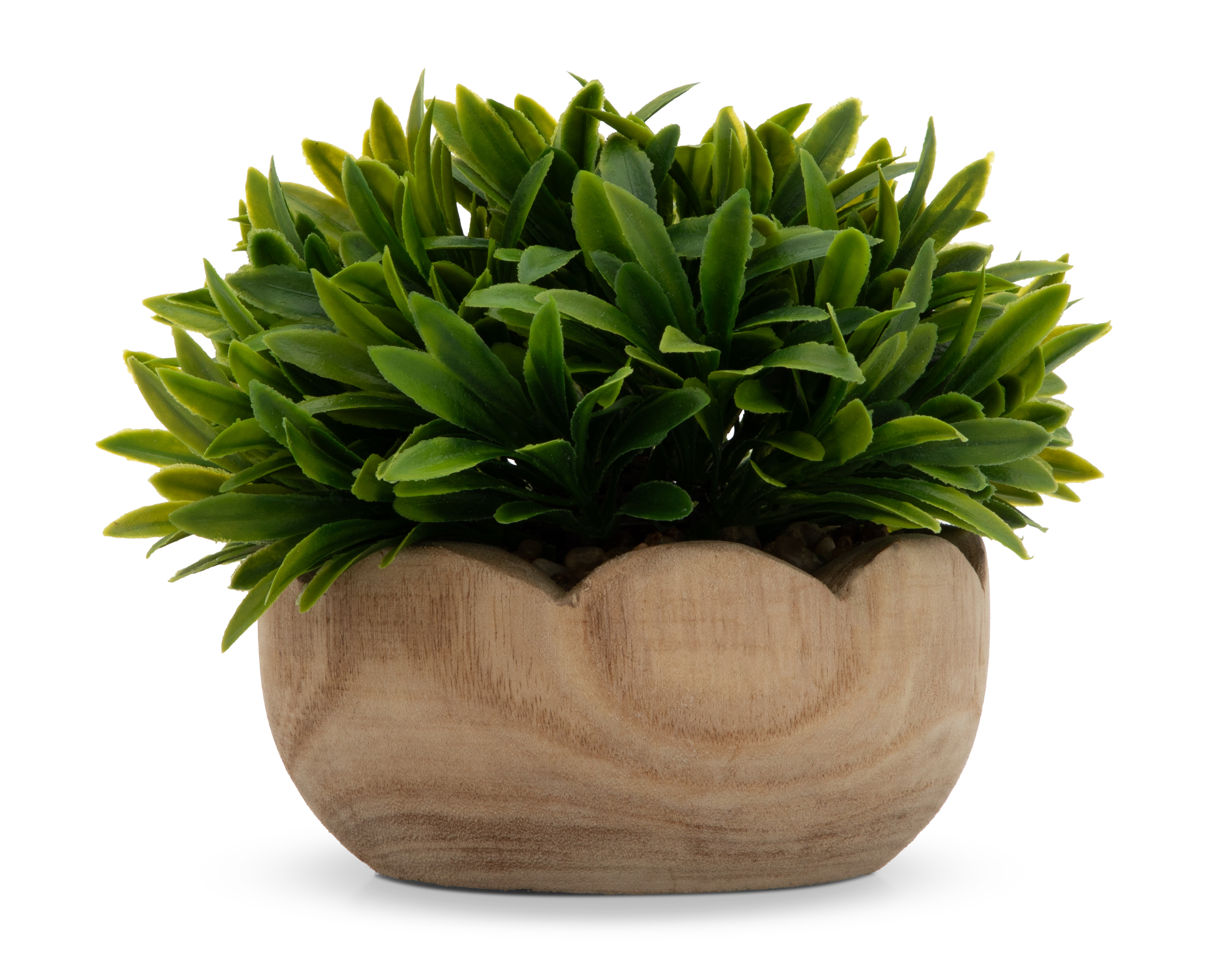 Césped Artificial con Maceta Starhaus 14 cm