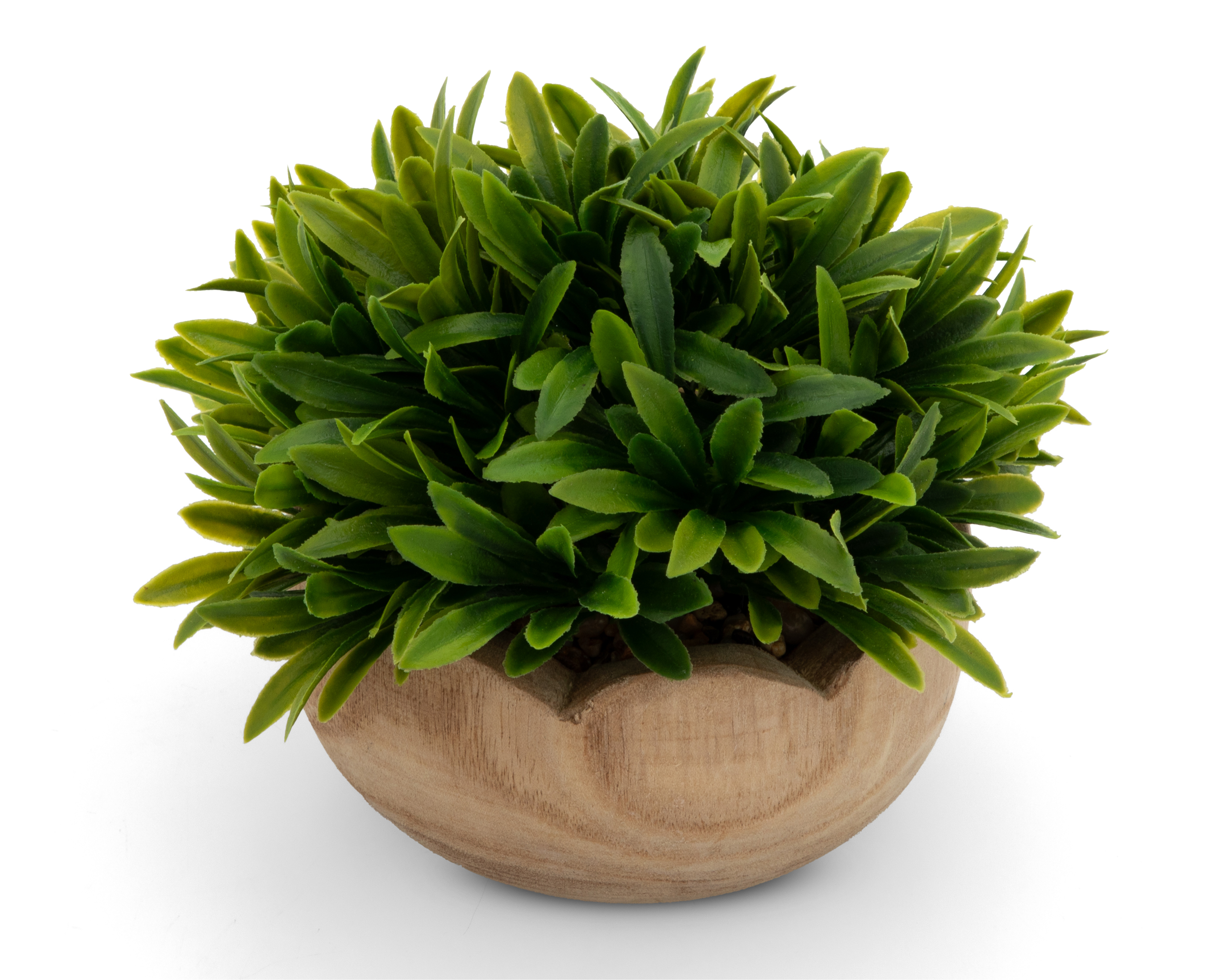 Foto 2 | Foto 2 | Césped Artificial con Maceta Starhaus 14 cm