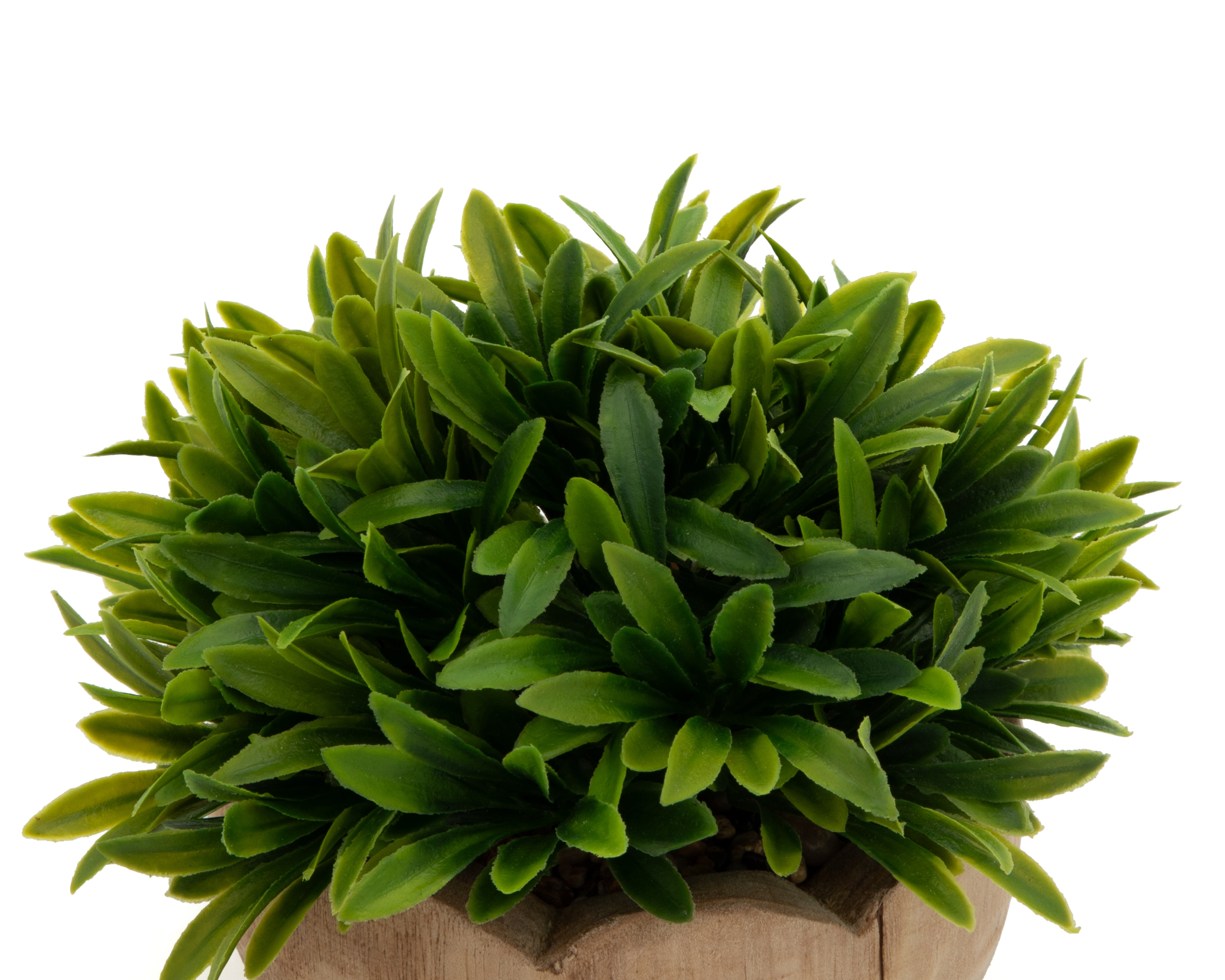 Foto 3 | Foto 3 | Césped Artificial con Maceta Starhaus 14 cm