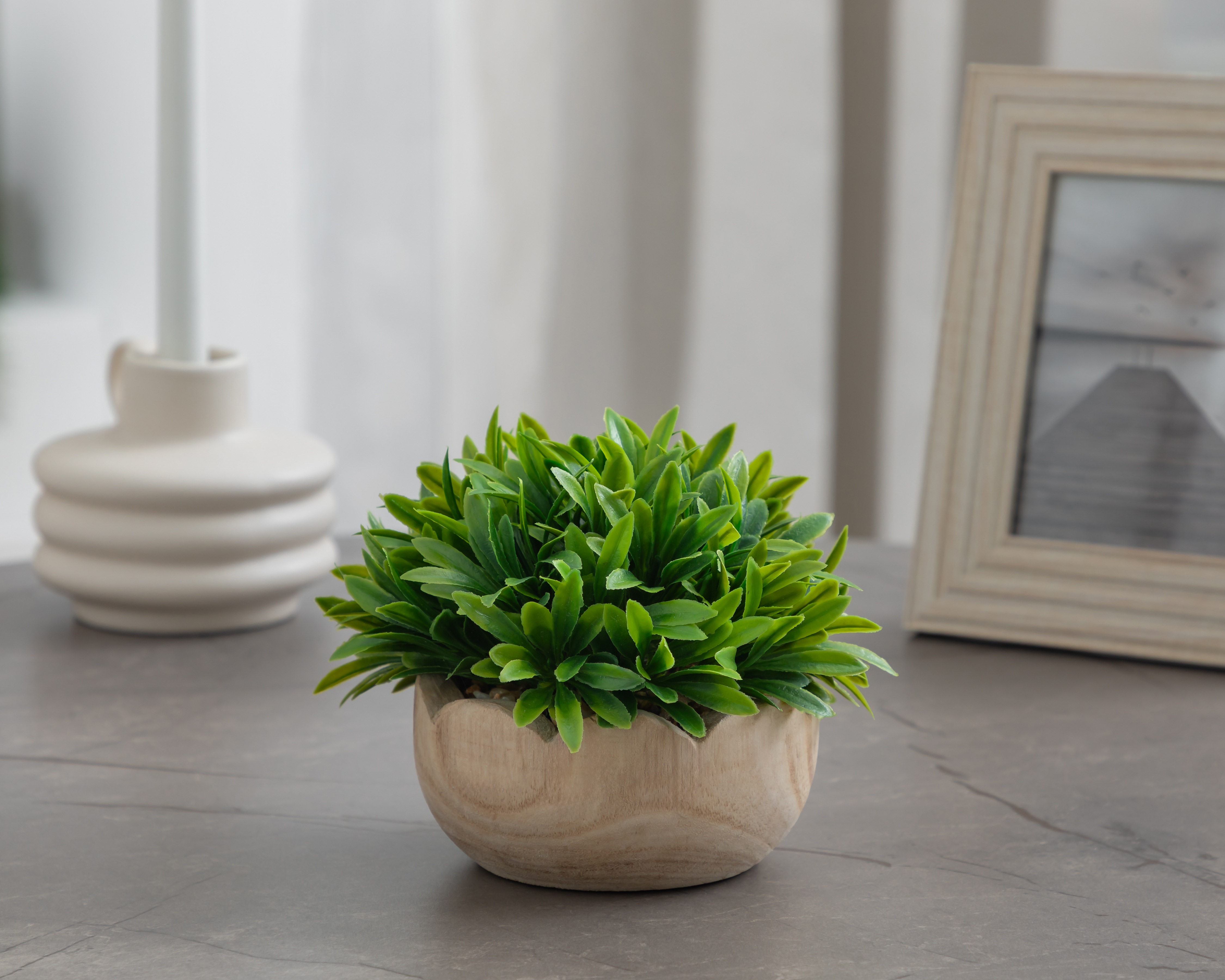 Foto 5 pulgar | Foto 4 | Césped Artificial con Maceta Starhaus 14 cm