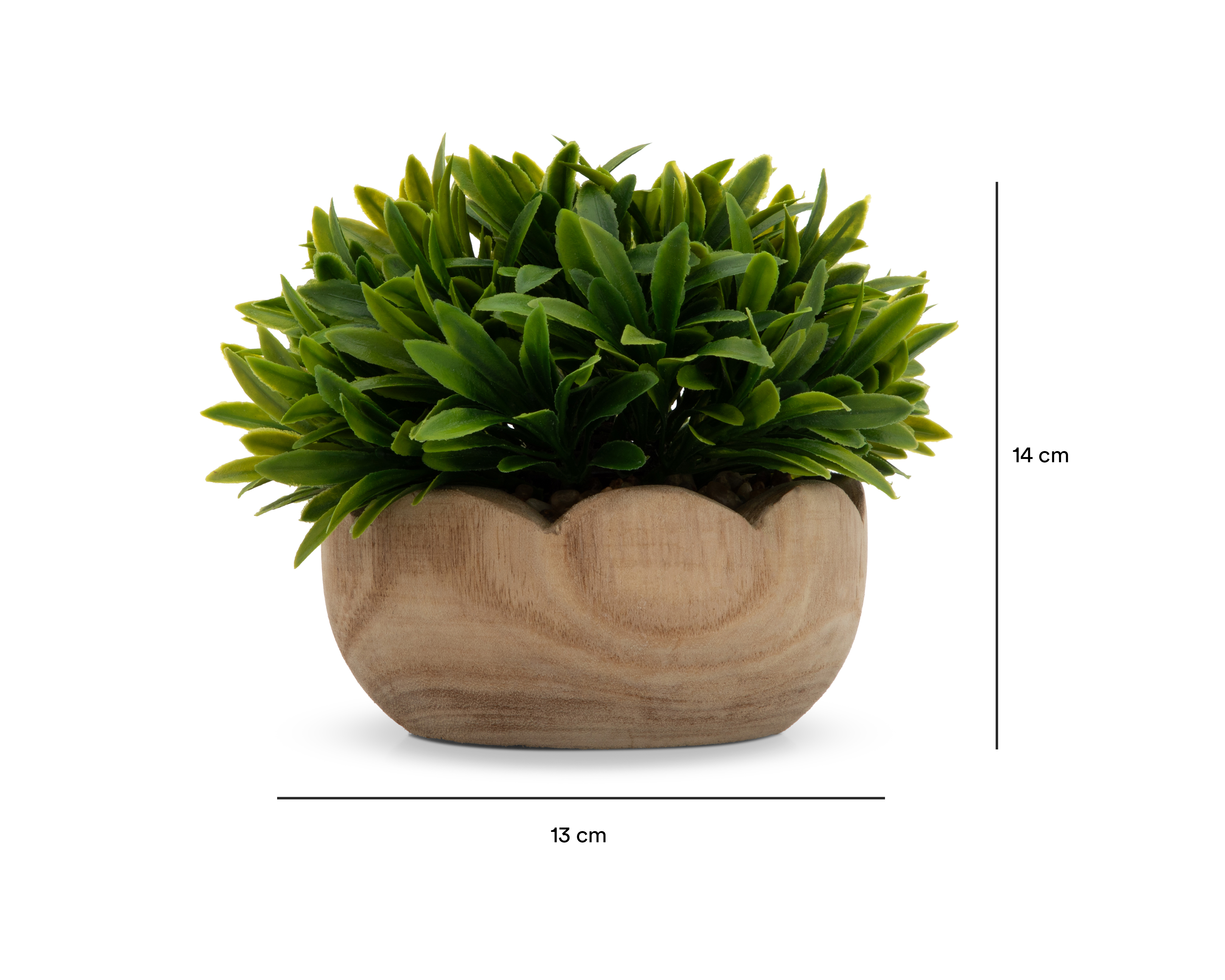 Foto 5 | Foto 5 | Césped Artificial con Maceta Starhaus 14 cm