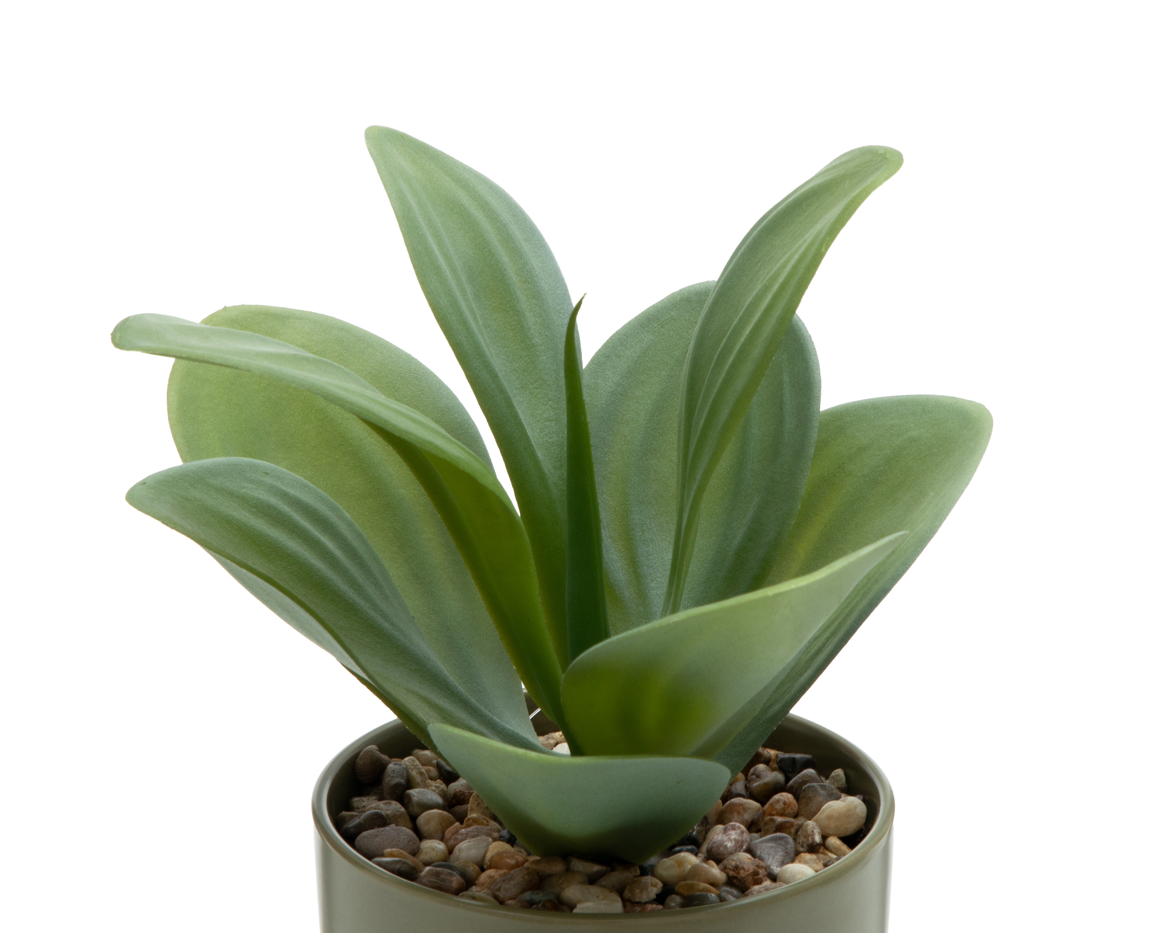 Foto 3 | Foto 3 | Suculenta Artificial con Maceta Starhaus 26 cm