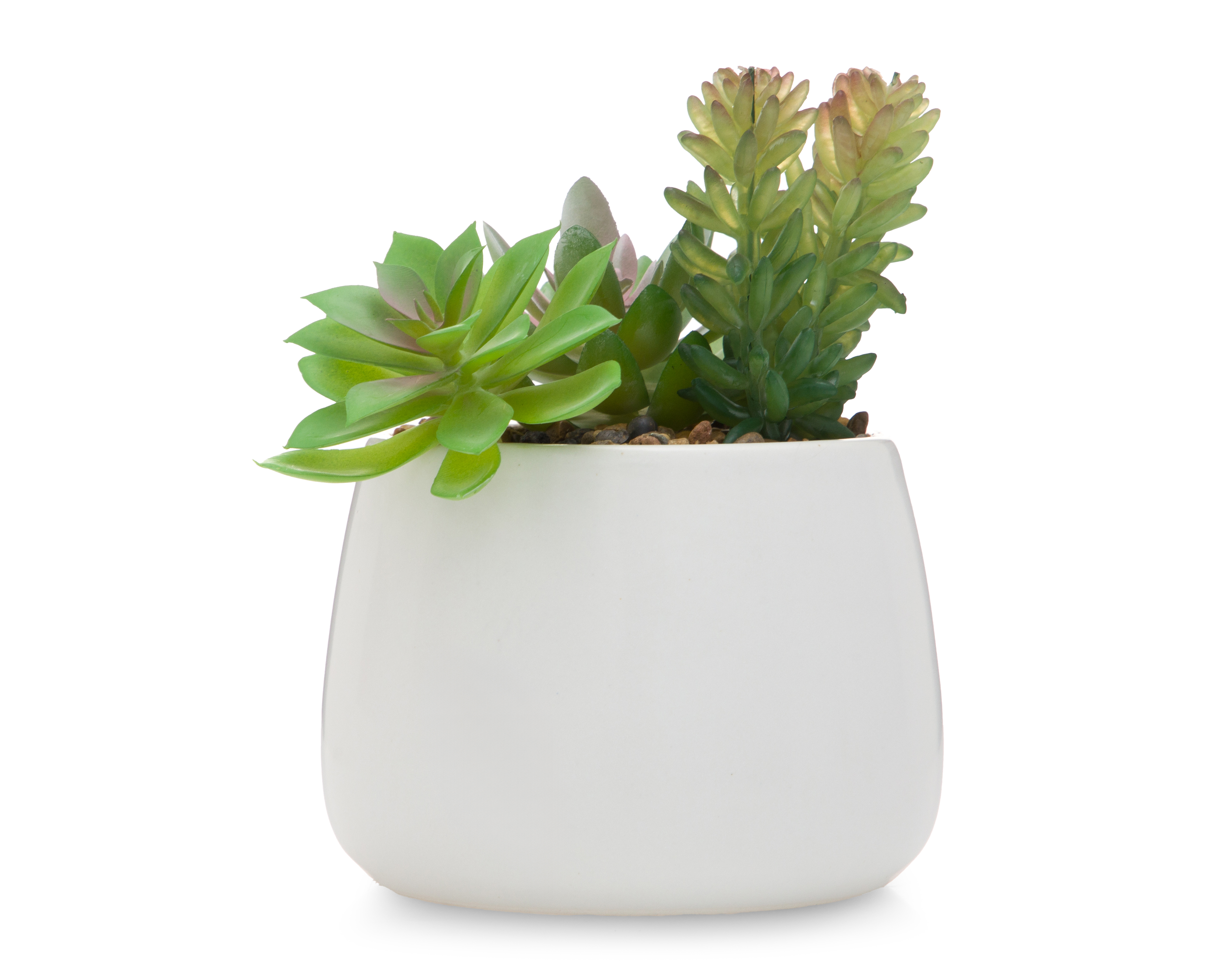 Suculenta Artificial con Maceta Starhaus 15.5 cm