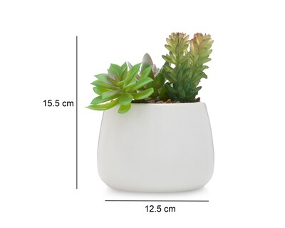 Foto 5 | Foto 5 | Suculenta Artificial con Maceta Starhaus 15.5 cm