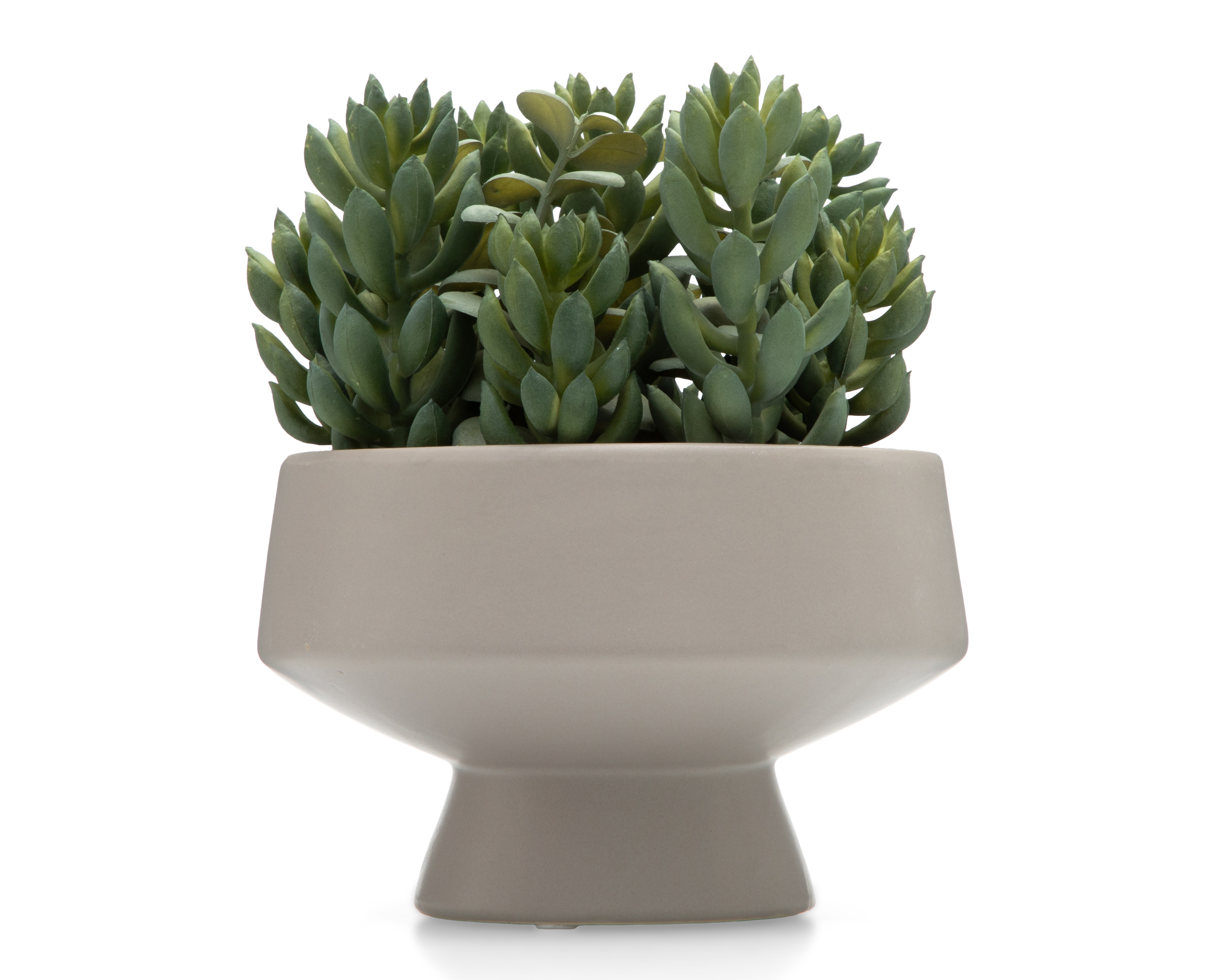 Suculenta Artificial con Maceta Starhaus 20 cm