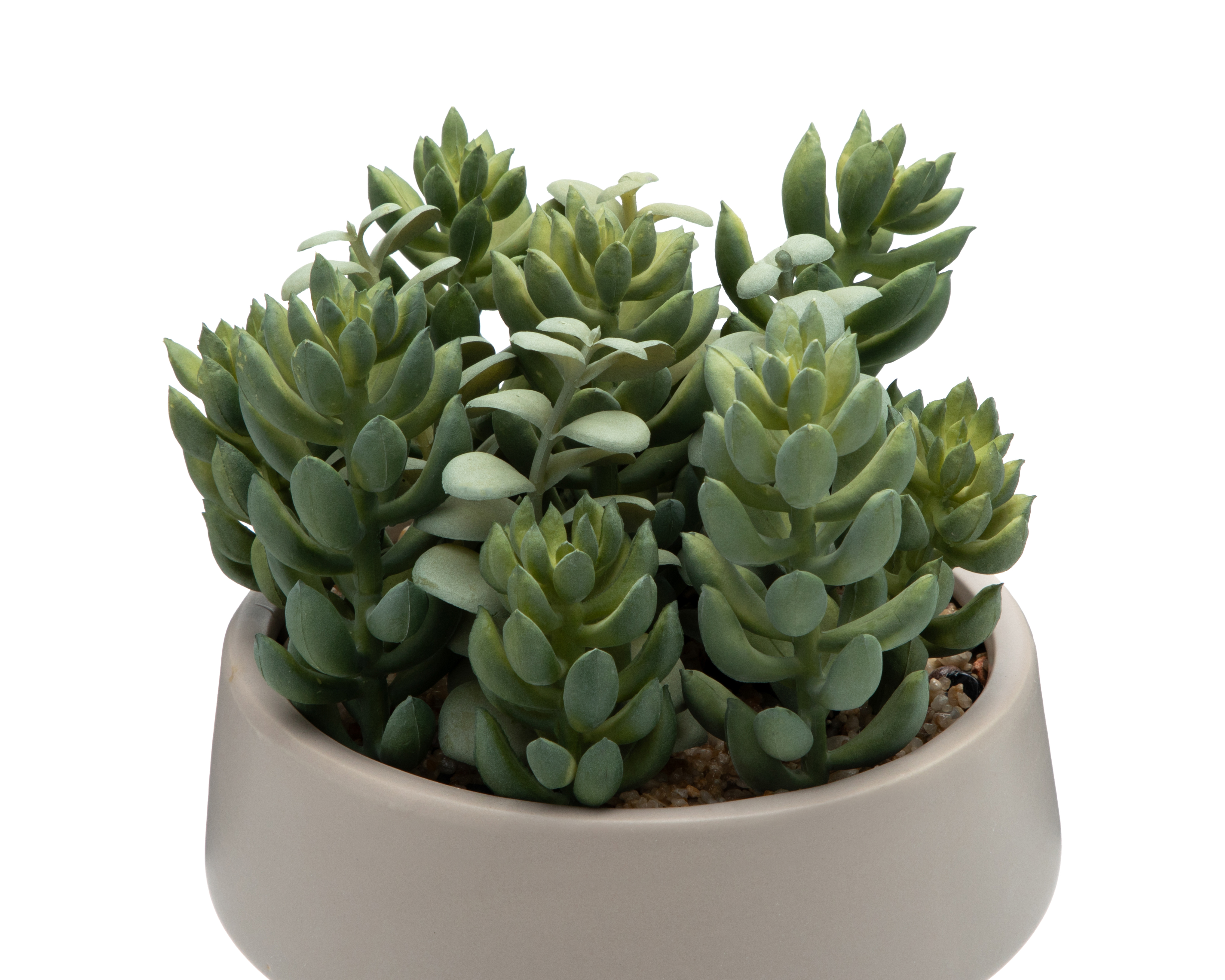 Foto 4 pulgar | Foto 3 | Suculenta Artificial con Maceta Starhaus 20 cm