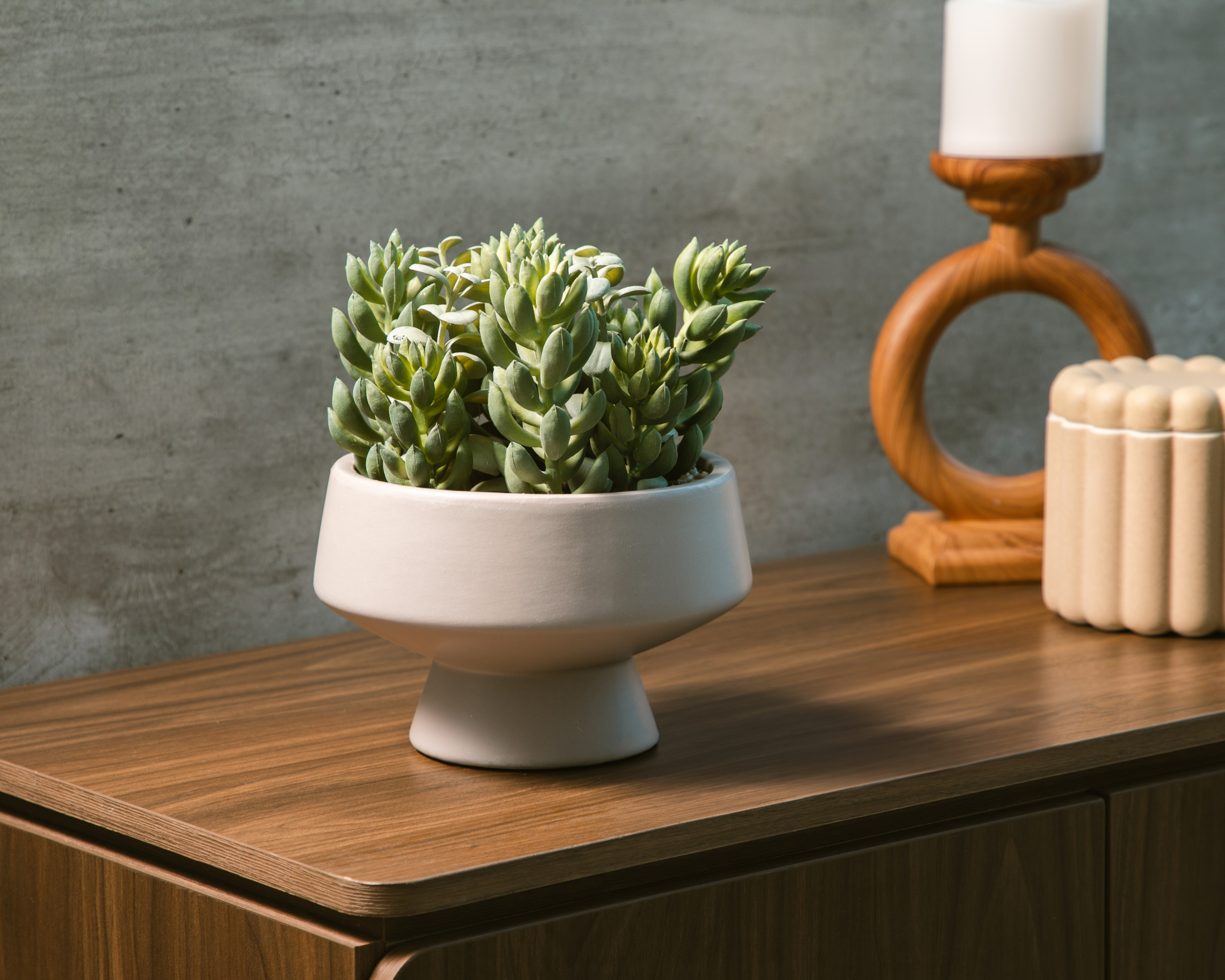 Foto 4 | Foto 4 | Suculenta Artificial con Maceta Starhaus 20 cm