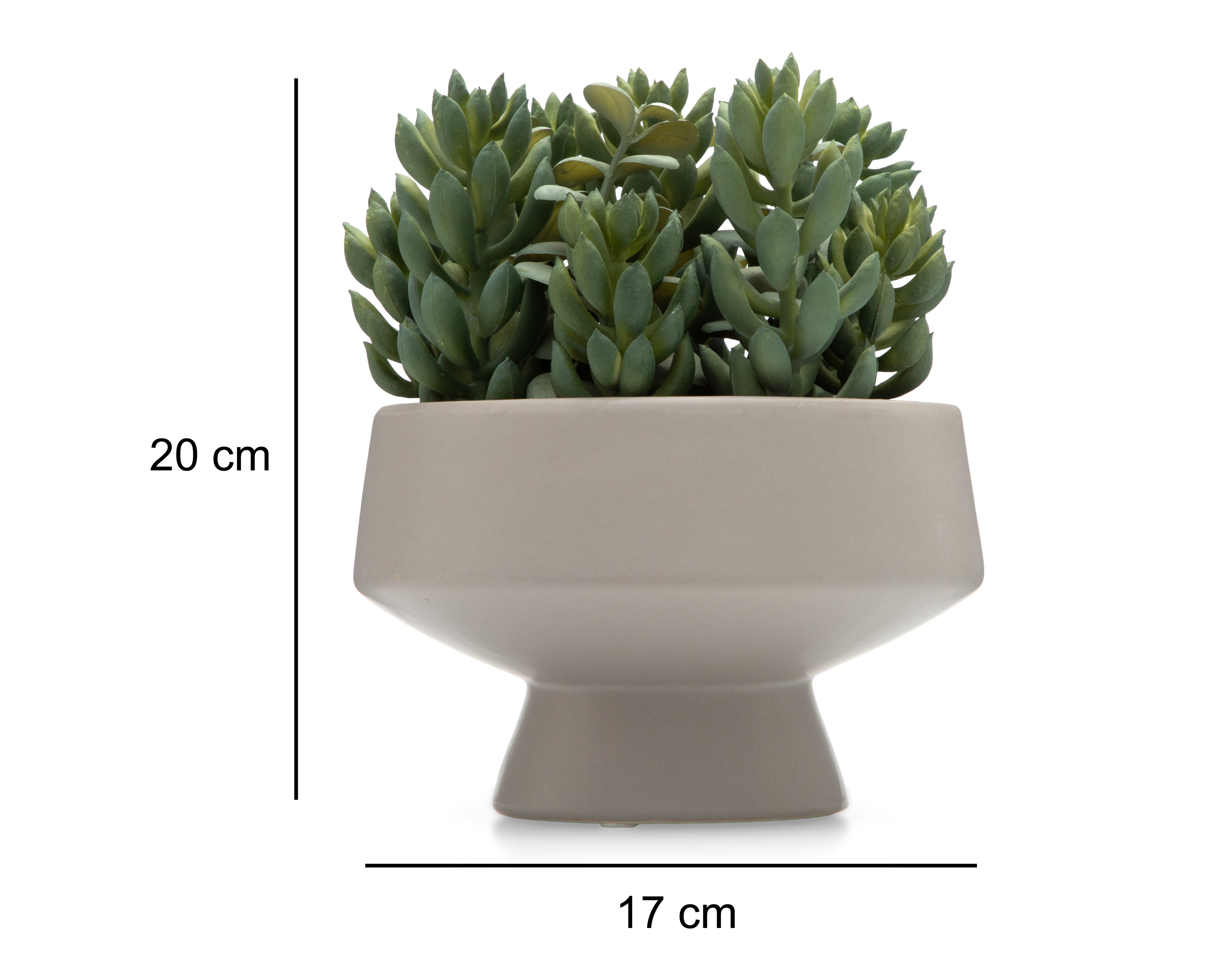 Foto 5 | Foto 5 | Suculenta Artificial con Maceta Starhaus 20 cm