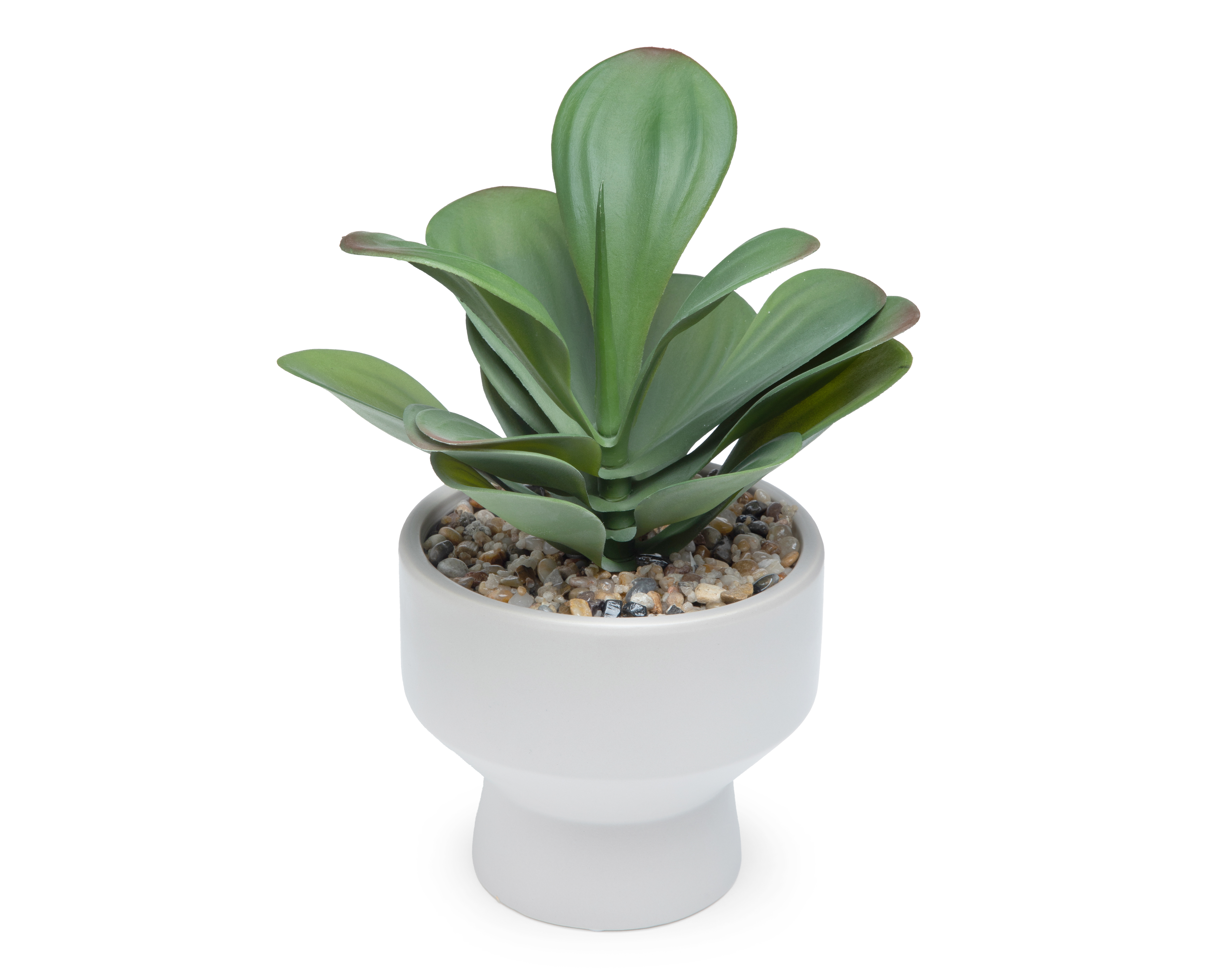 Foto 2 | Foto 2 | Suculenta Artificial con Maceta Starhaus 29.5 cm