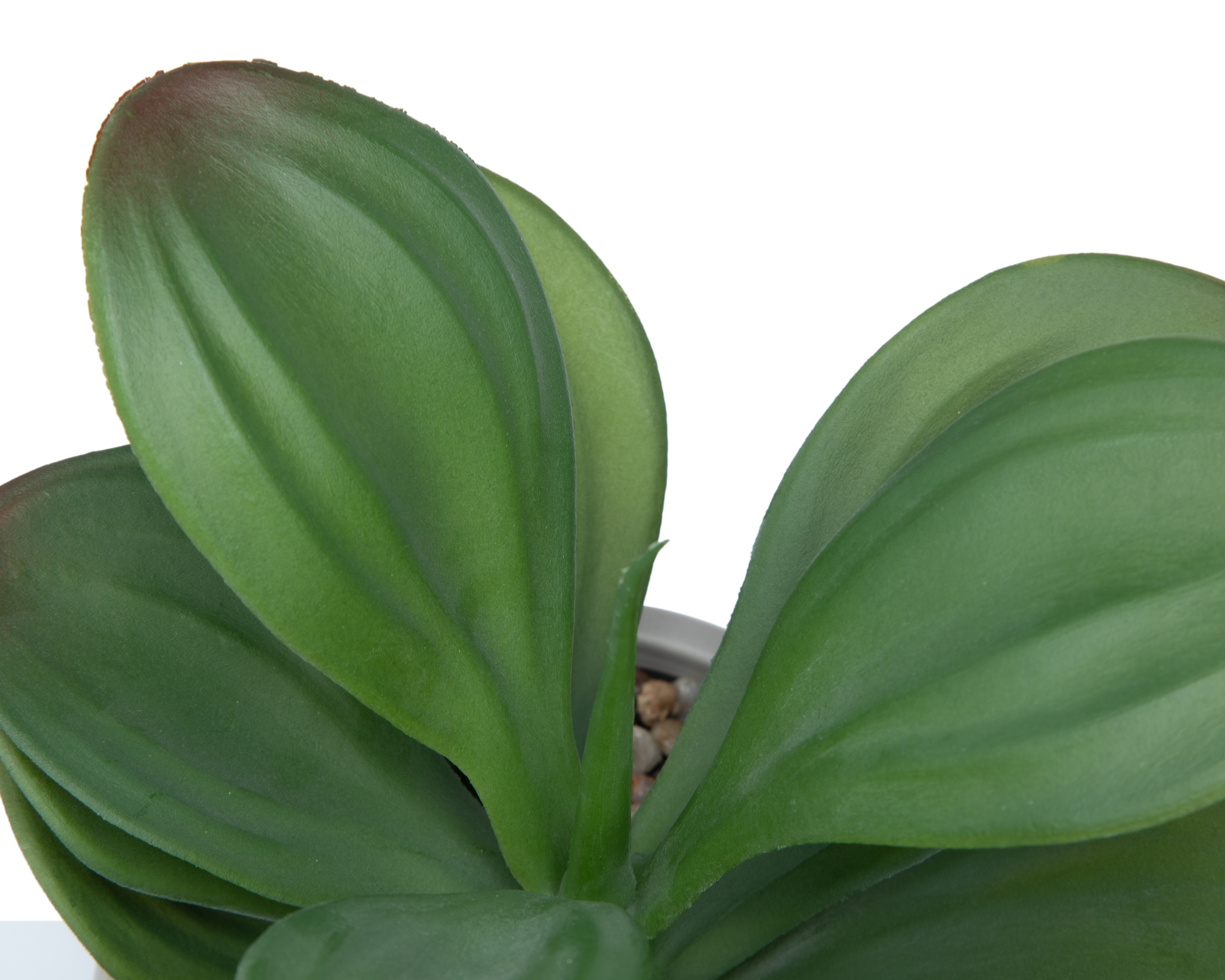 Foto 3 | Foto 3 | Suculenta Artificial con Maceta Starhaus 29.5 cm