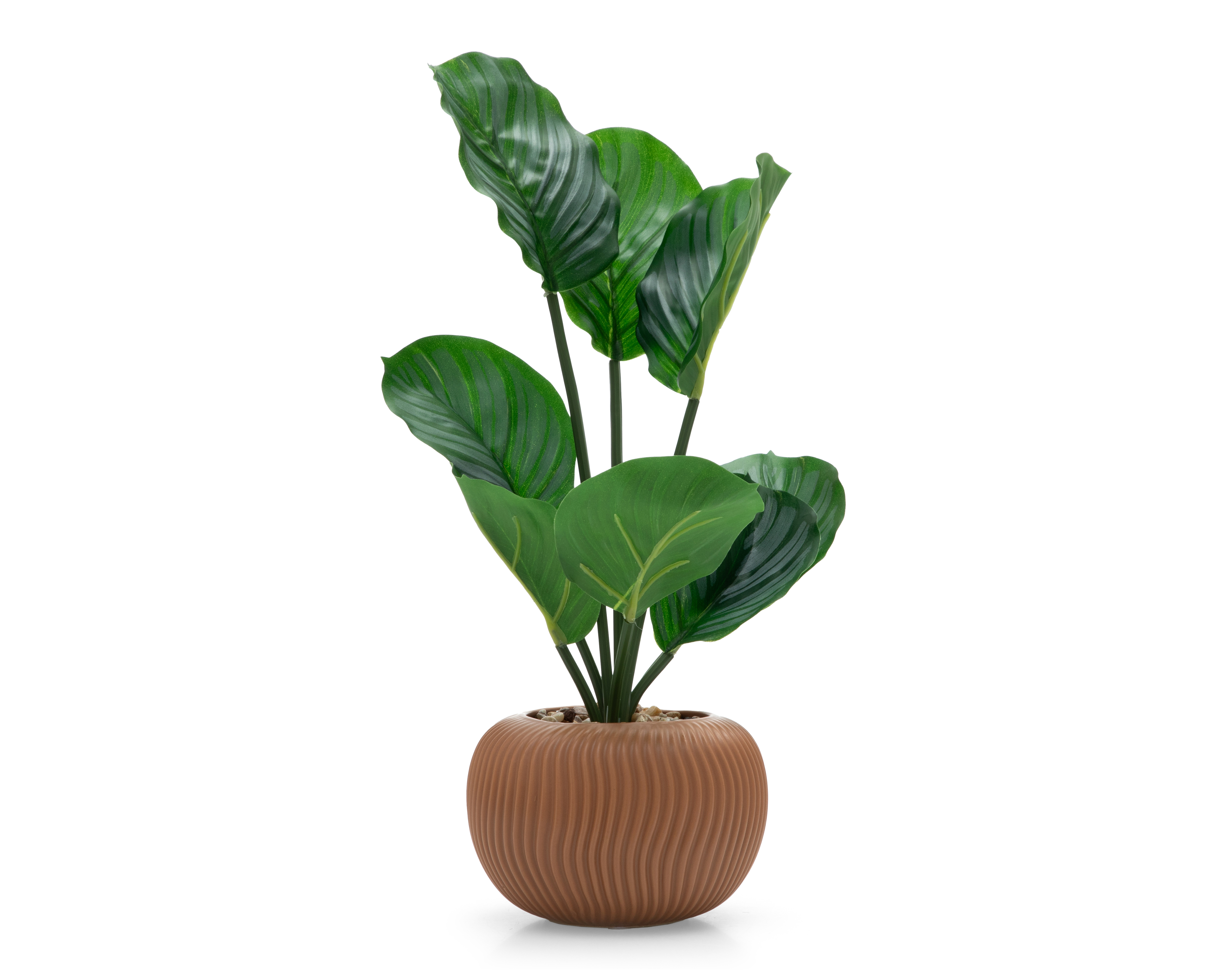 Foto 2 pulgar | Foto 1 | Calathea Artificial con Maceta Starhaus 43 cm