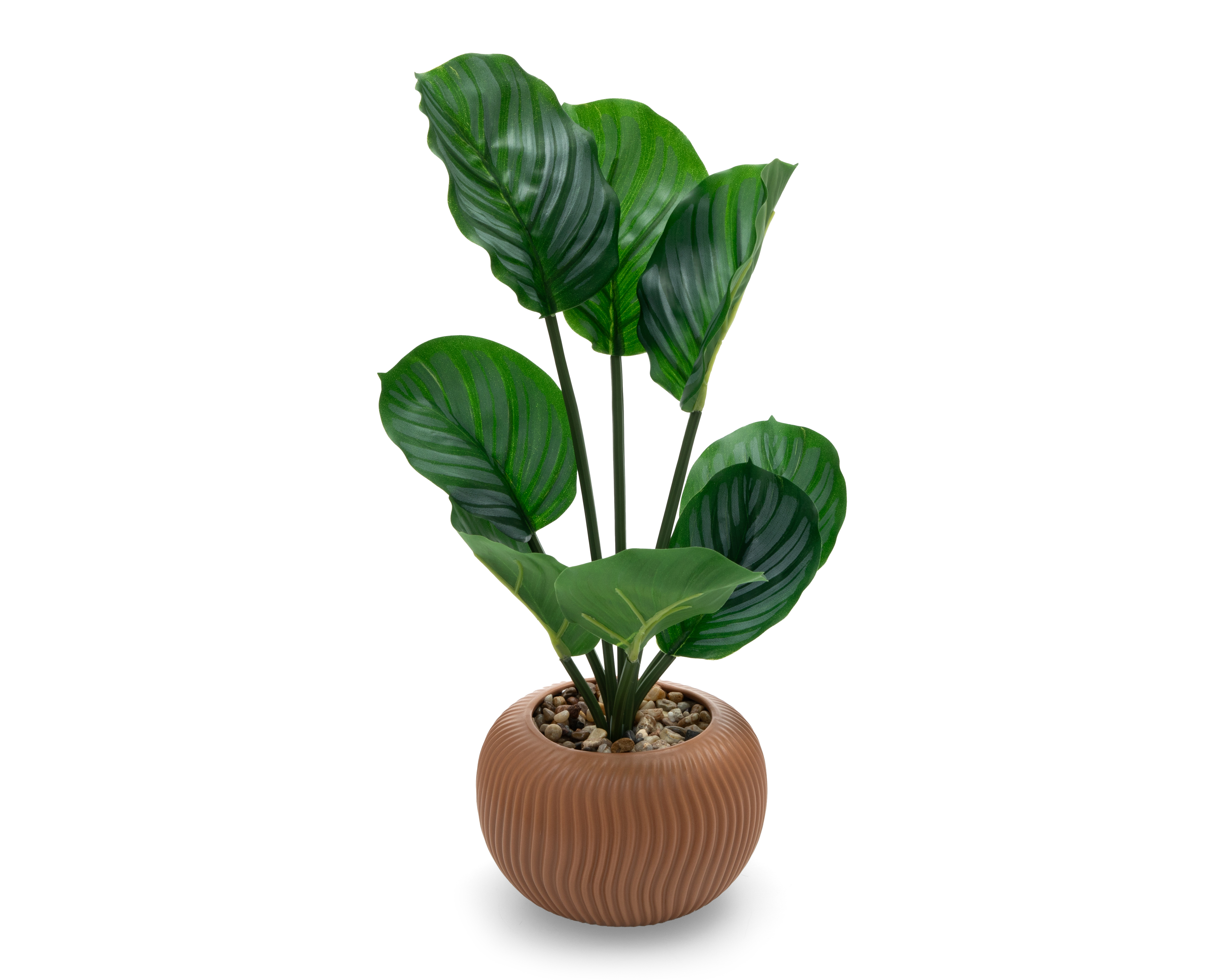 Foto 2 | Foto 2 | Calathea Artificial con Maceta Starhaus 43 cm