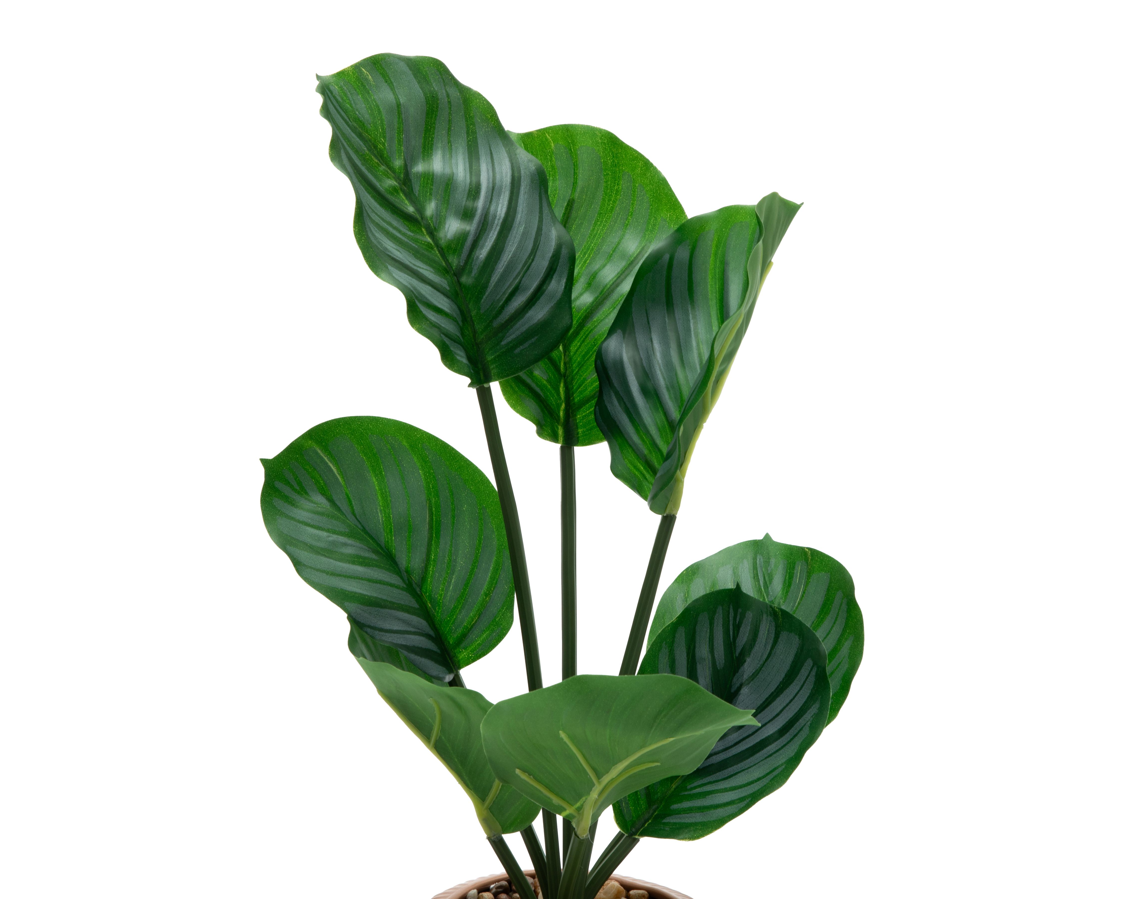 Foto 3 | Foto 3 | Calathea Artificial con Maceta Starhaus 43 cm
