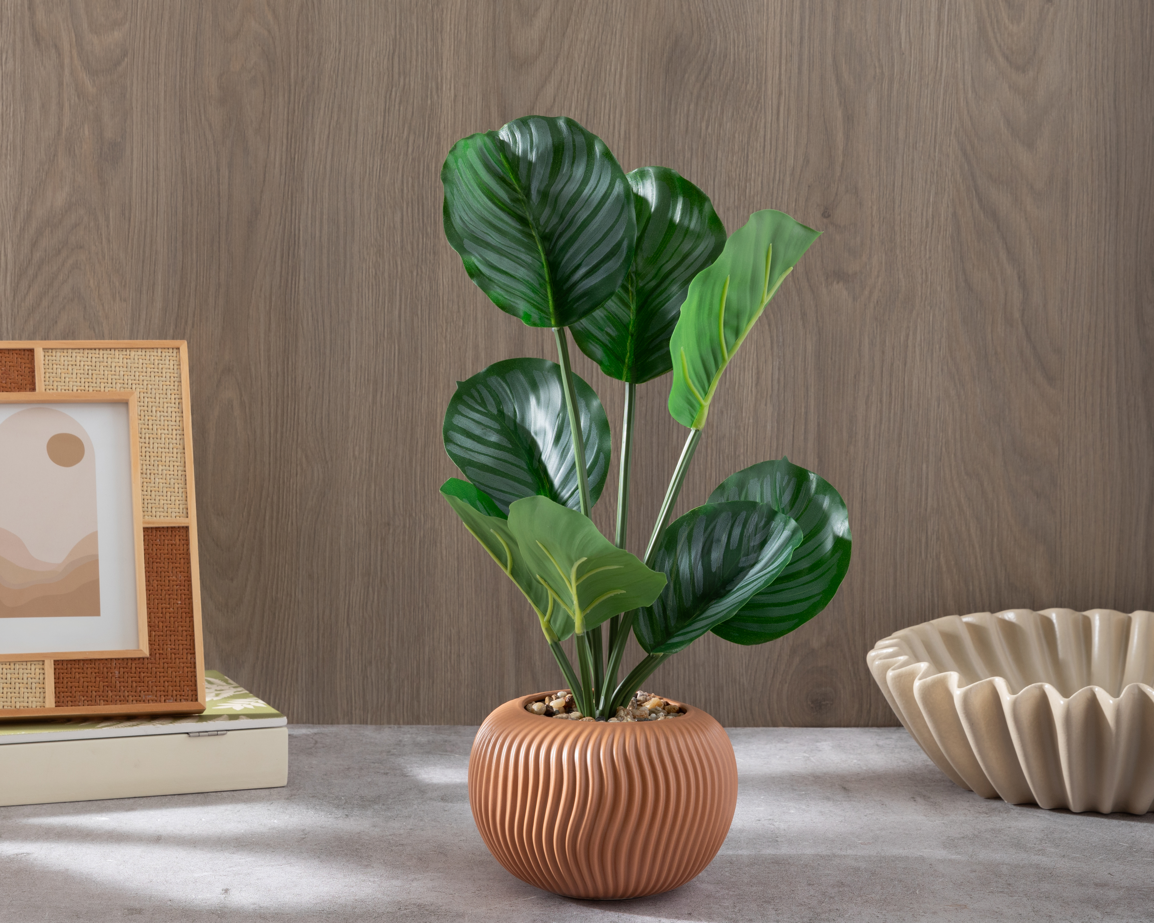 Foto 5 pulgar | Foto 4 | Calathea Artificial con Maceta Starhaus 43 cm